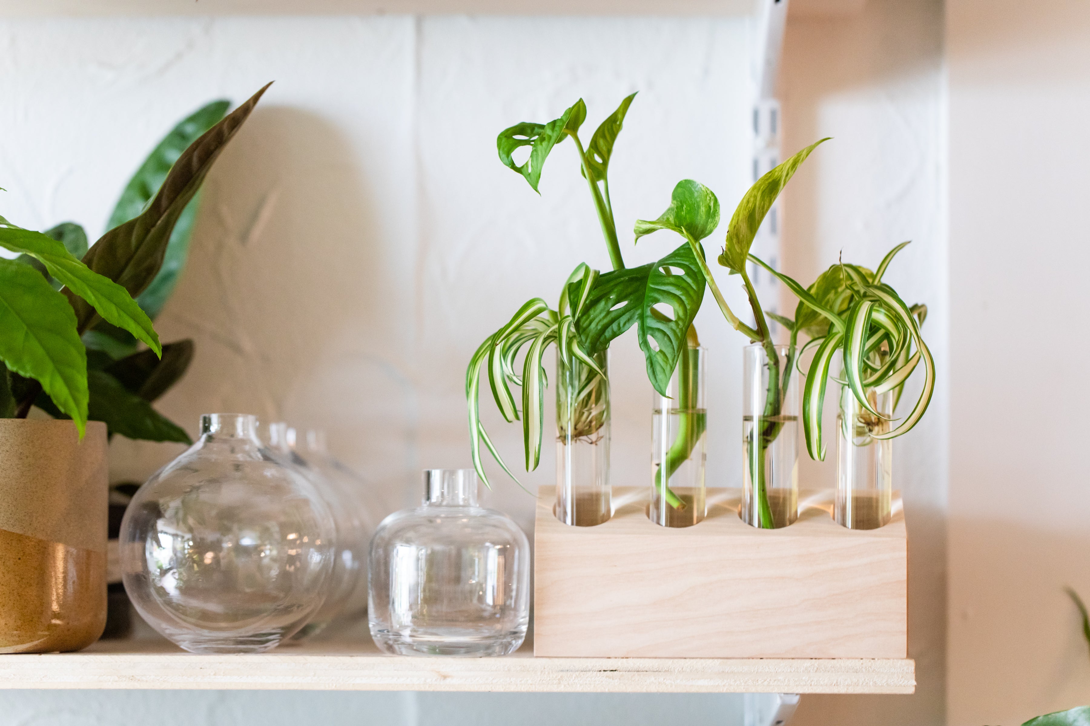 glassware on shelf