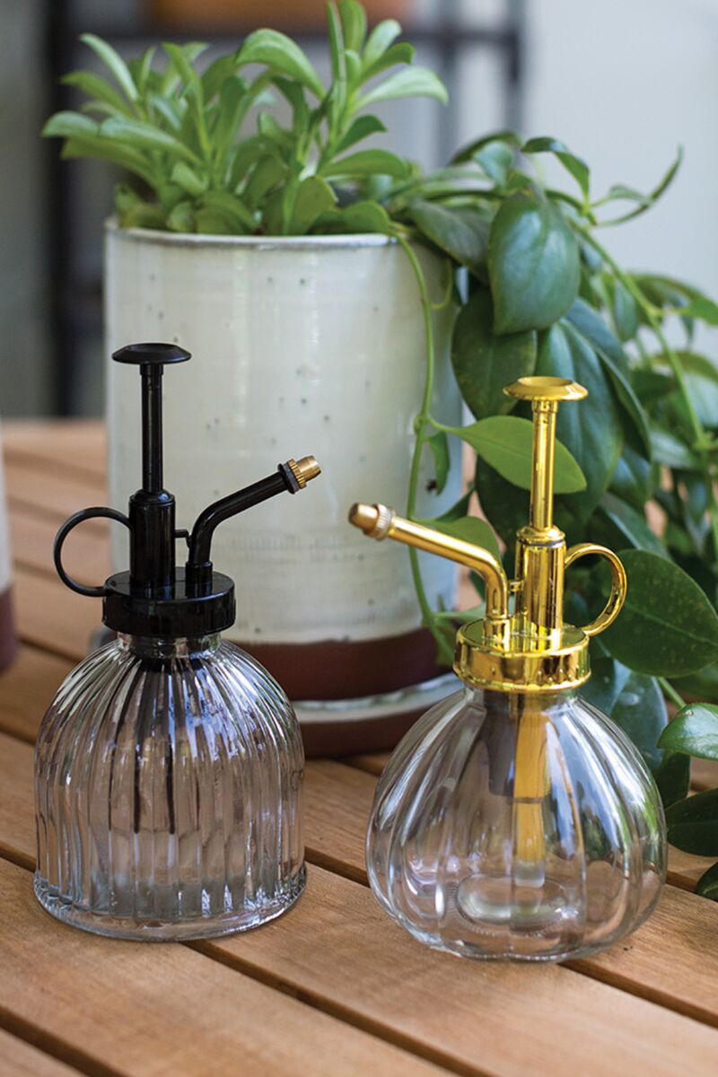Brumisateur pour plantes Gold Carlise