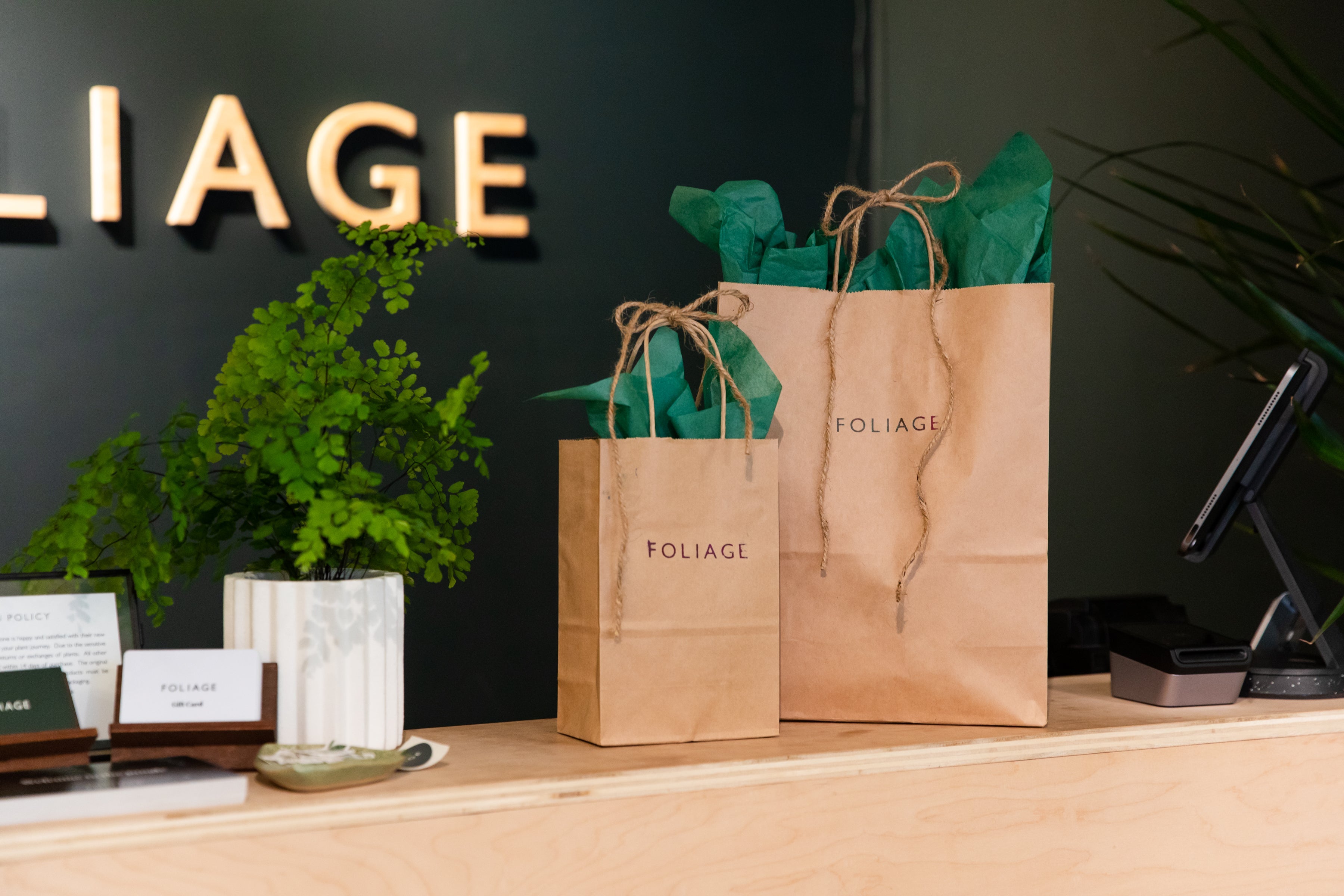 Foliage Gift Bundles