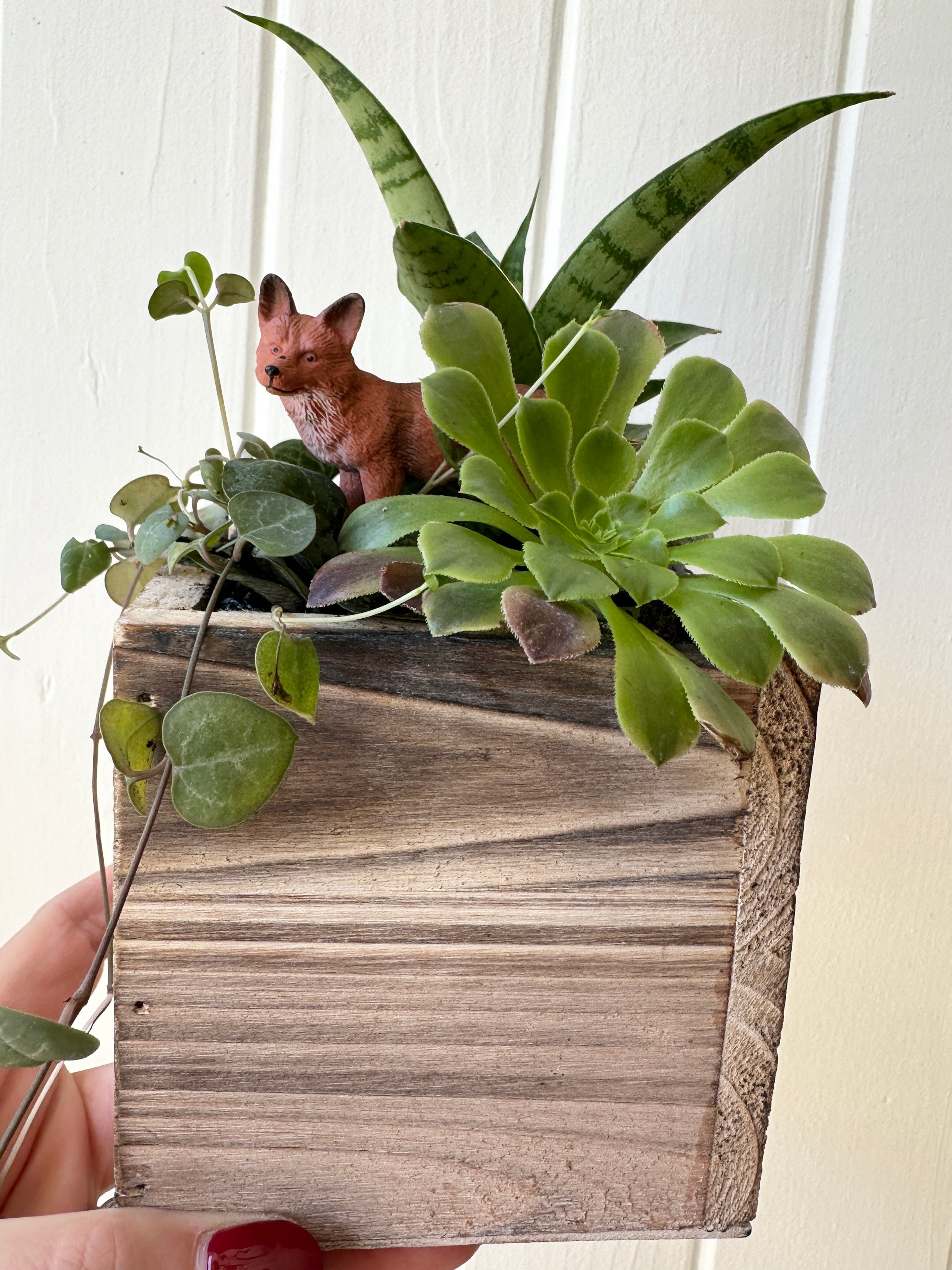 Foliage Kids Workshops