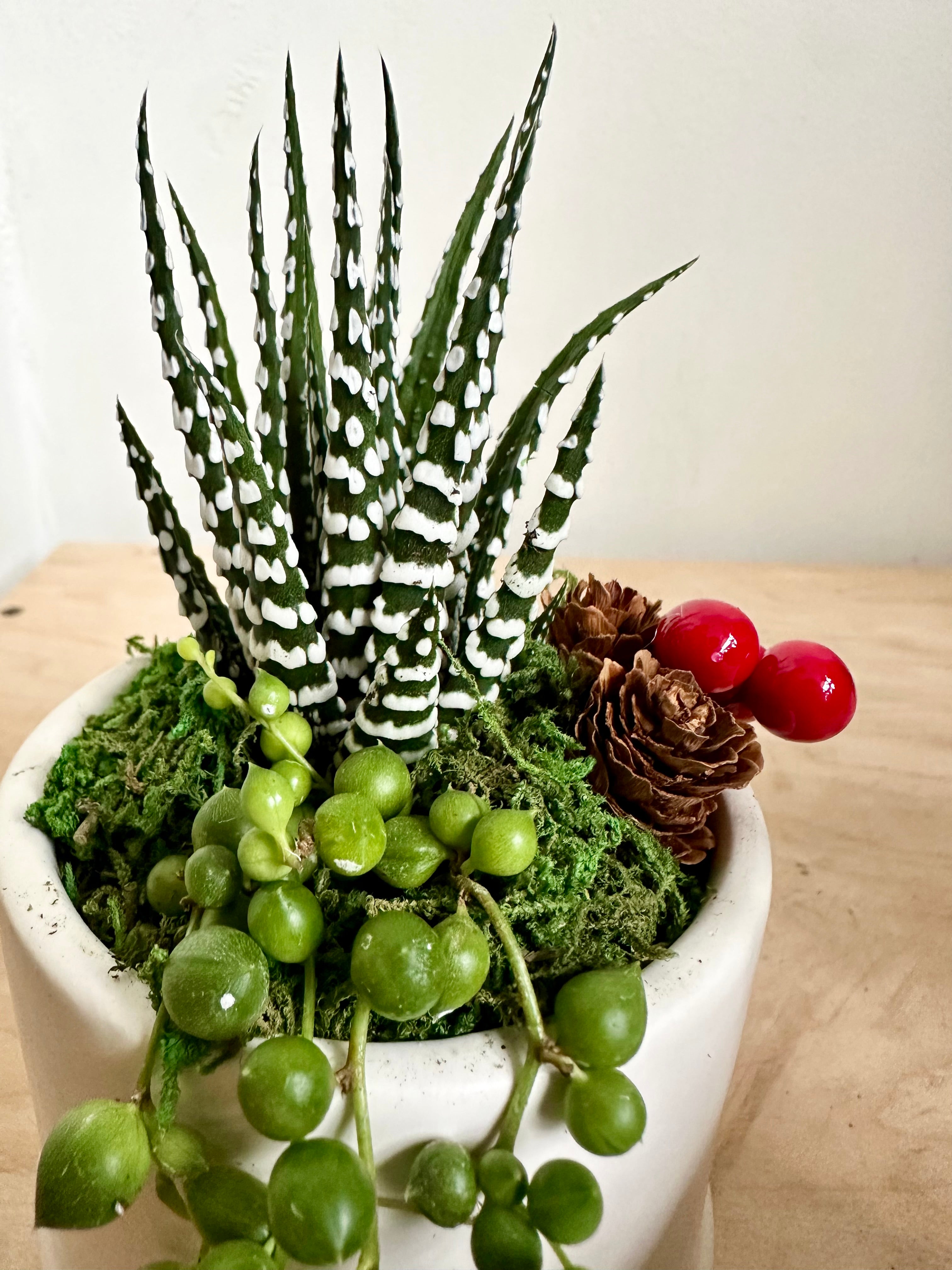 Small Elio Holiday Mini Garden