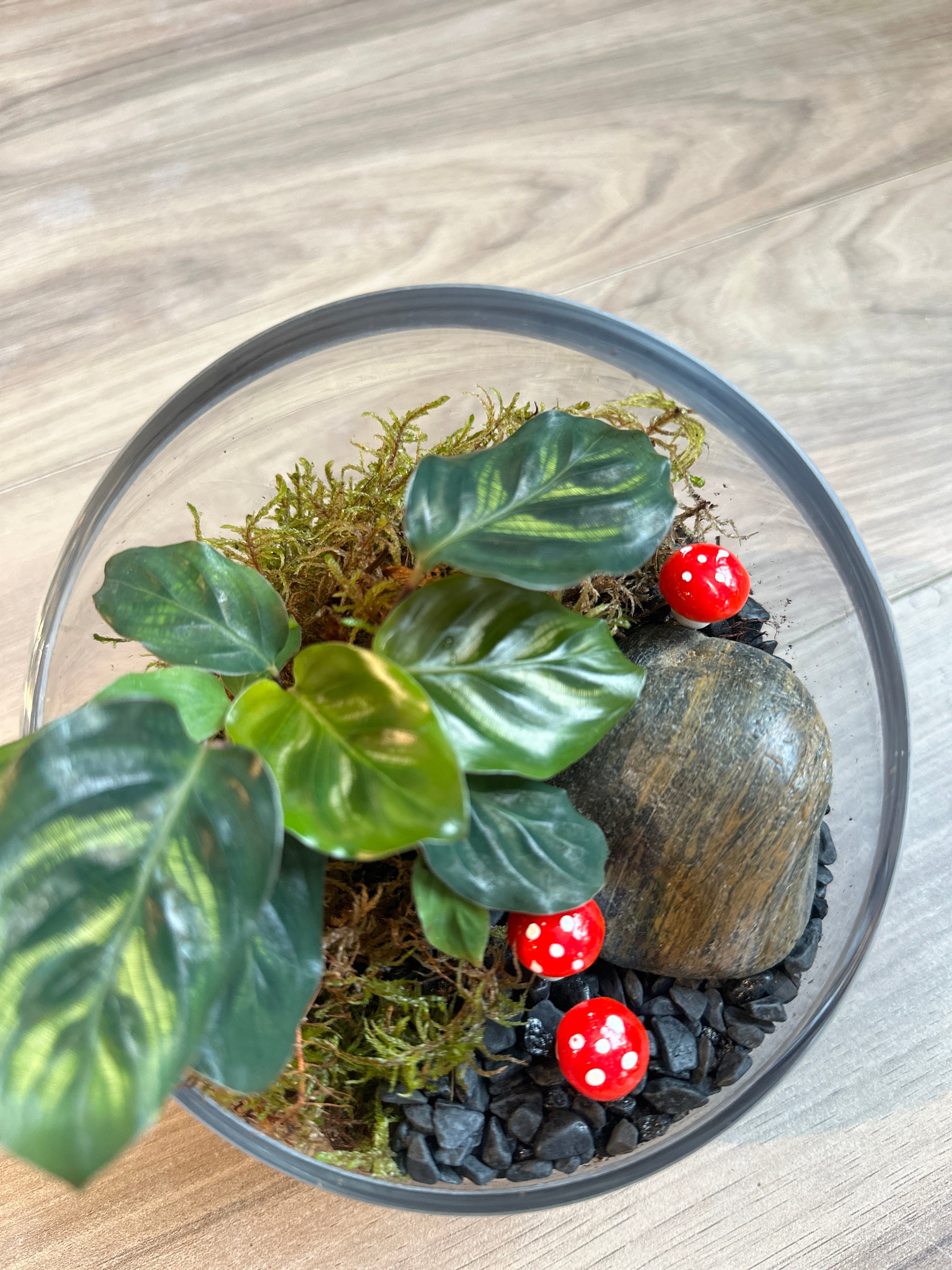 Foliage Kids Workshops