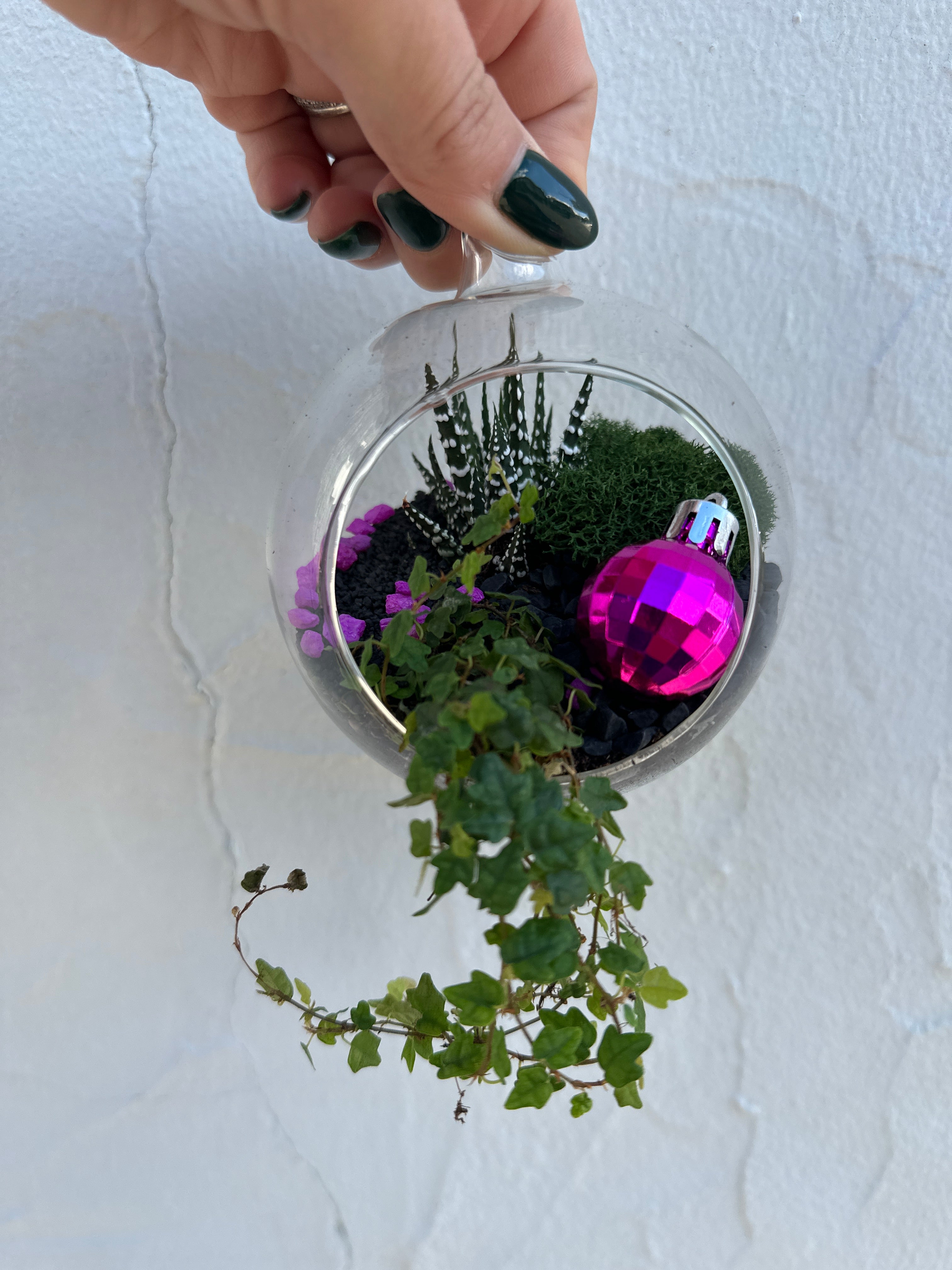 Arreglo de Tillandsia para las fiestas en el terrario Luna Orb
