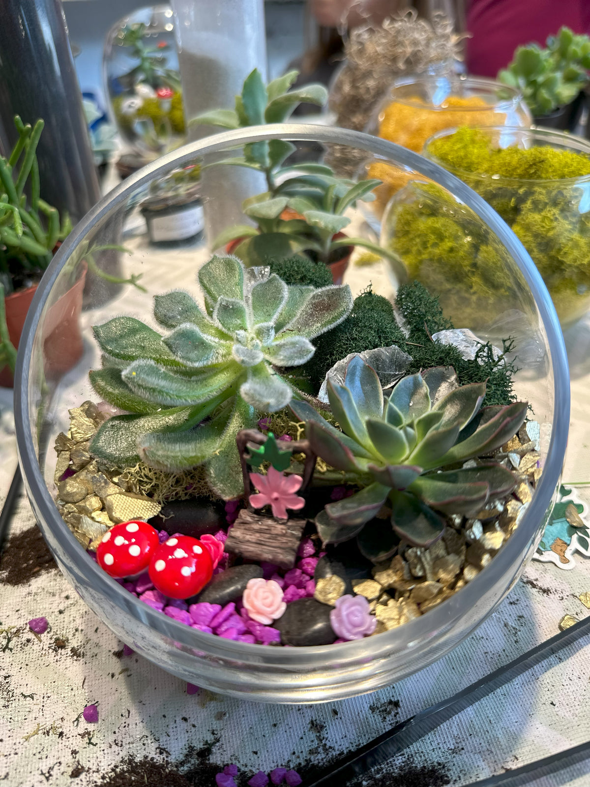 Foliage Mini Workshops