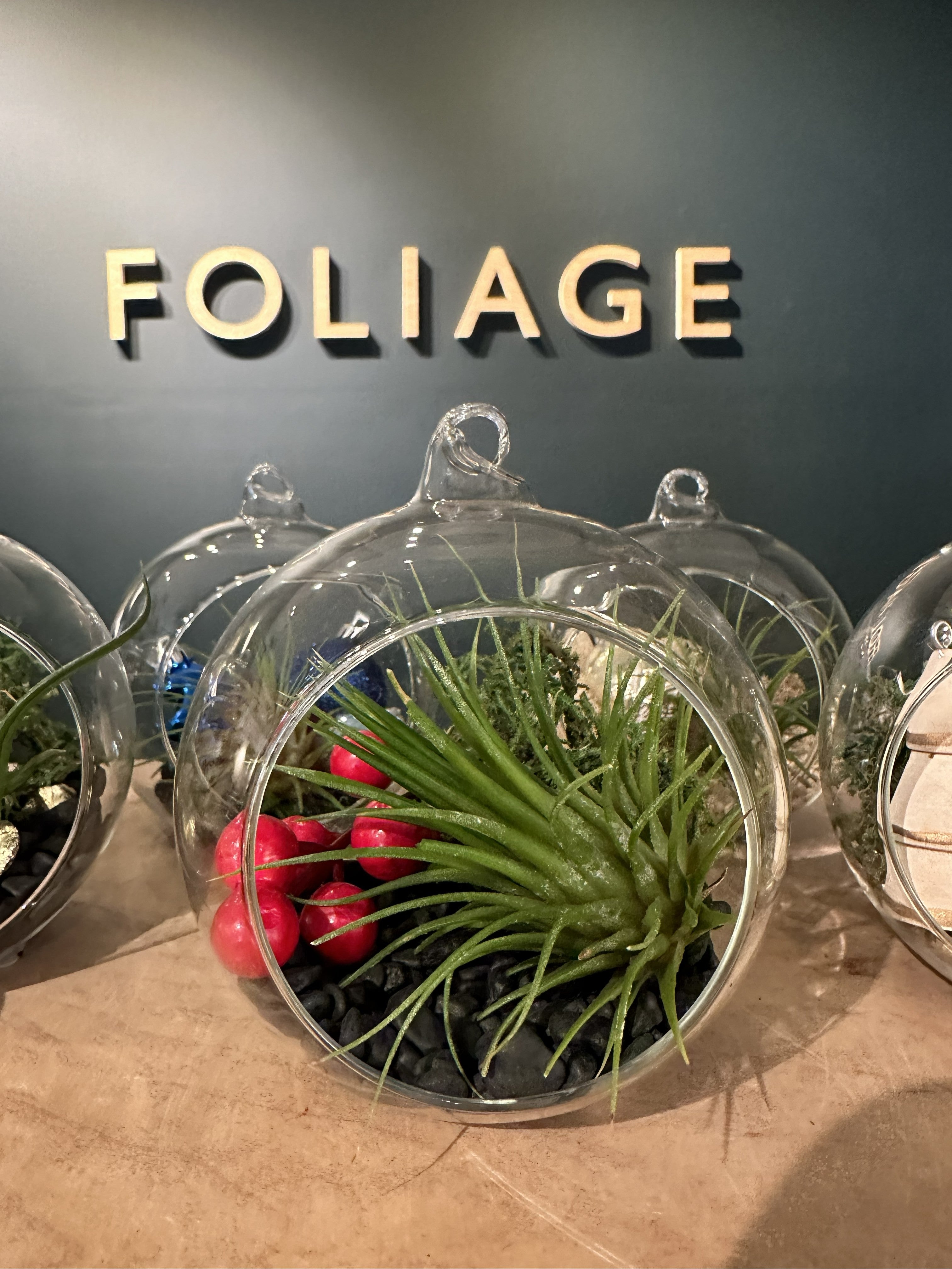 Foliage Kids Workshops