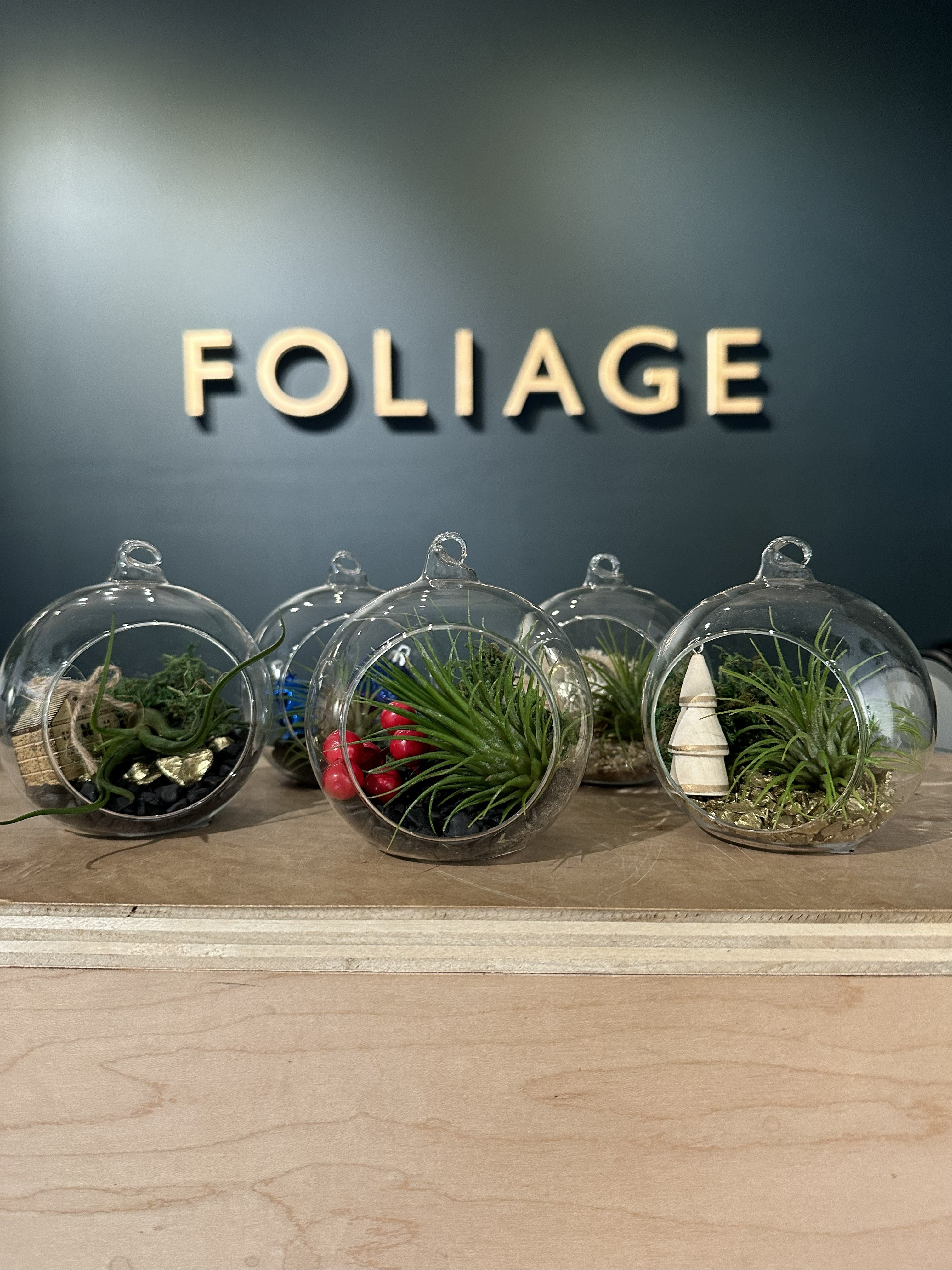 Foliage Kids Workshops