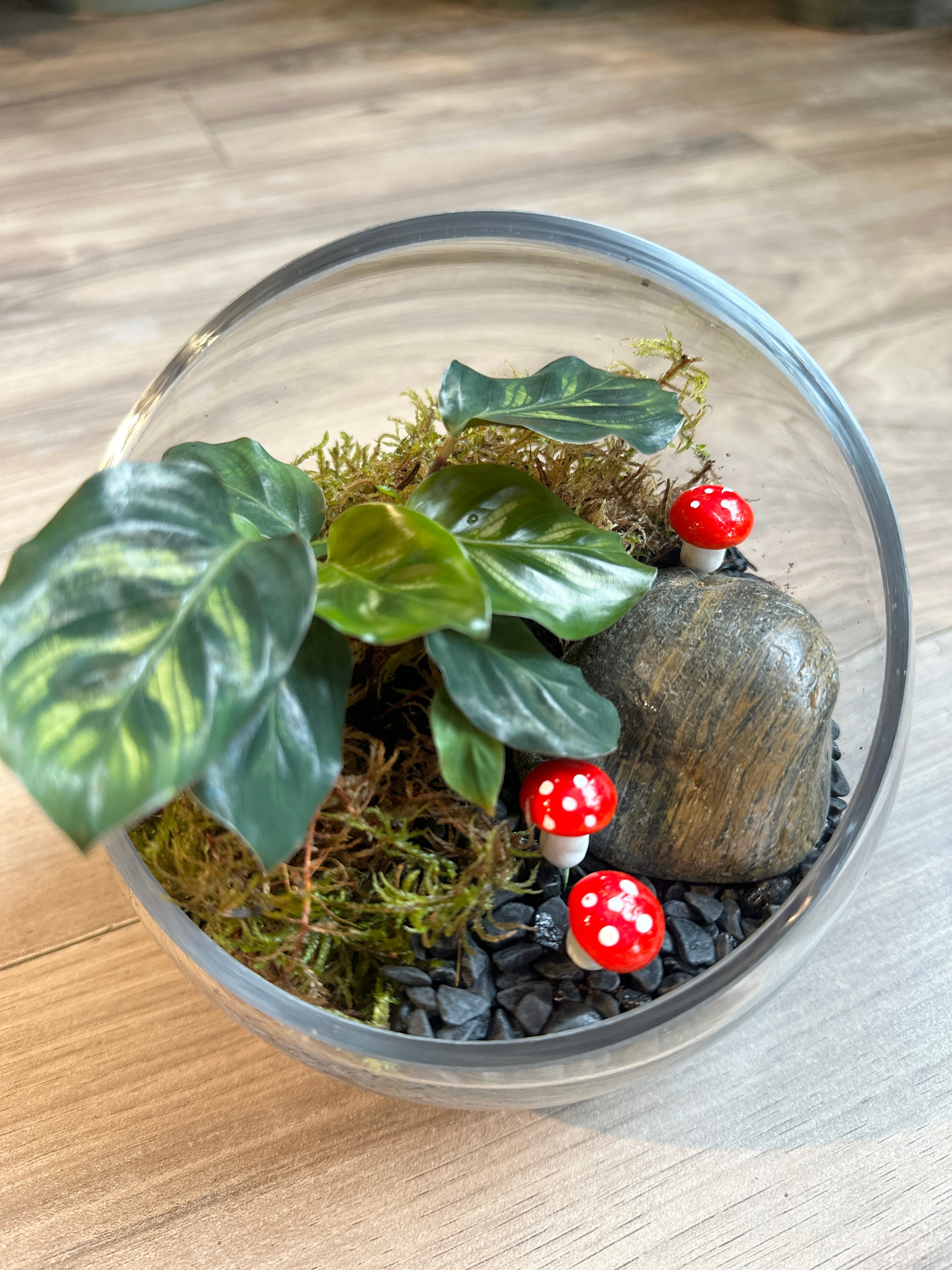 Foliage Kids Workshops