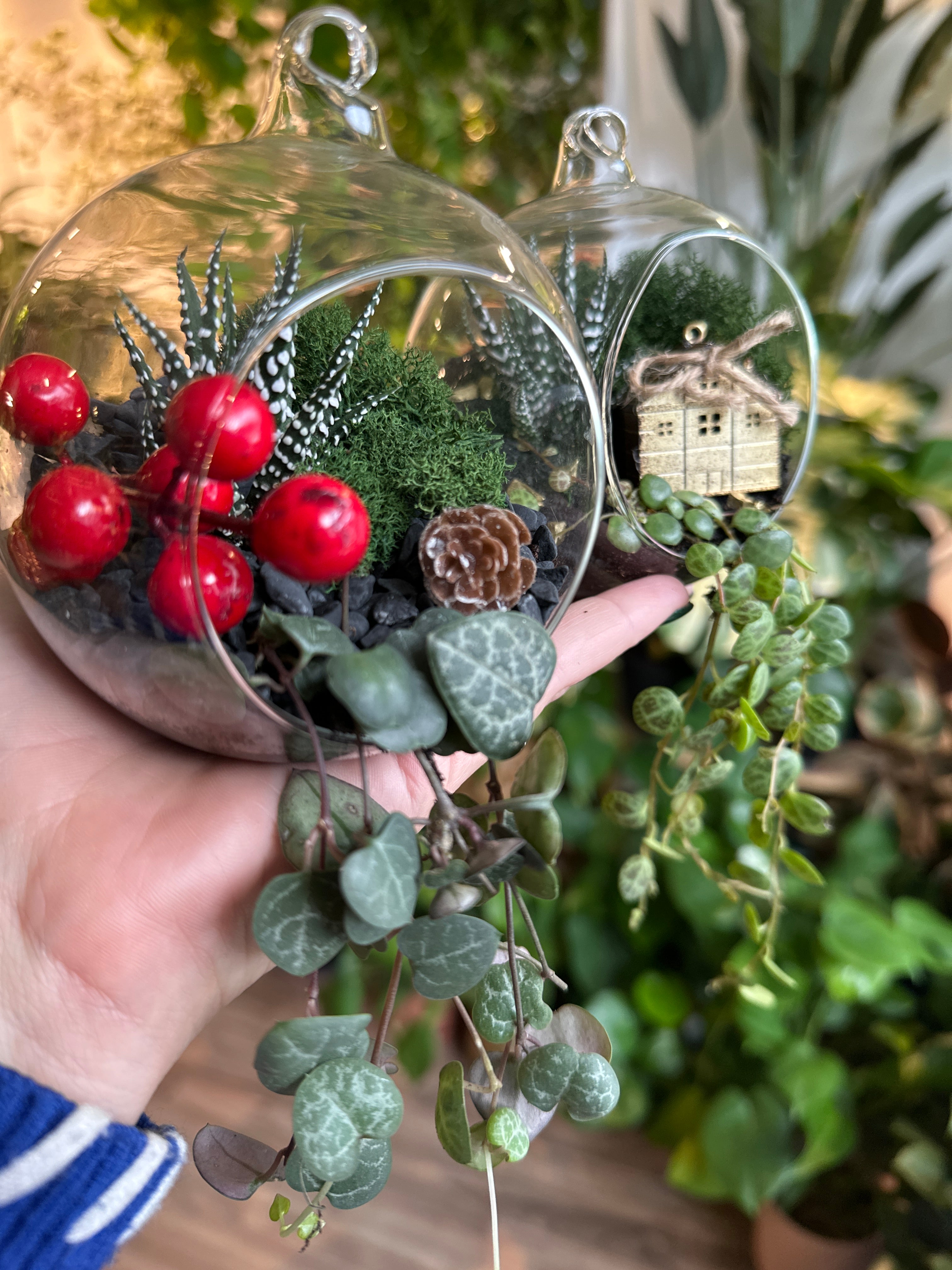Festive Succulent Ornaments Workshop