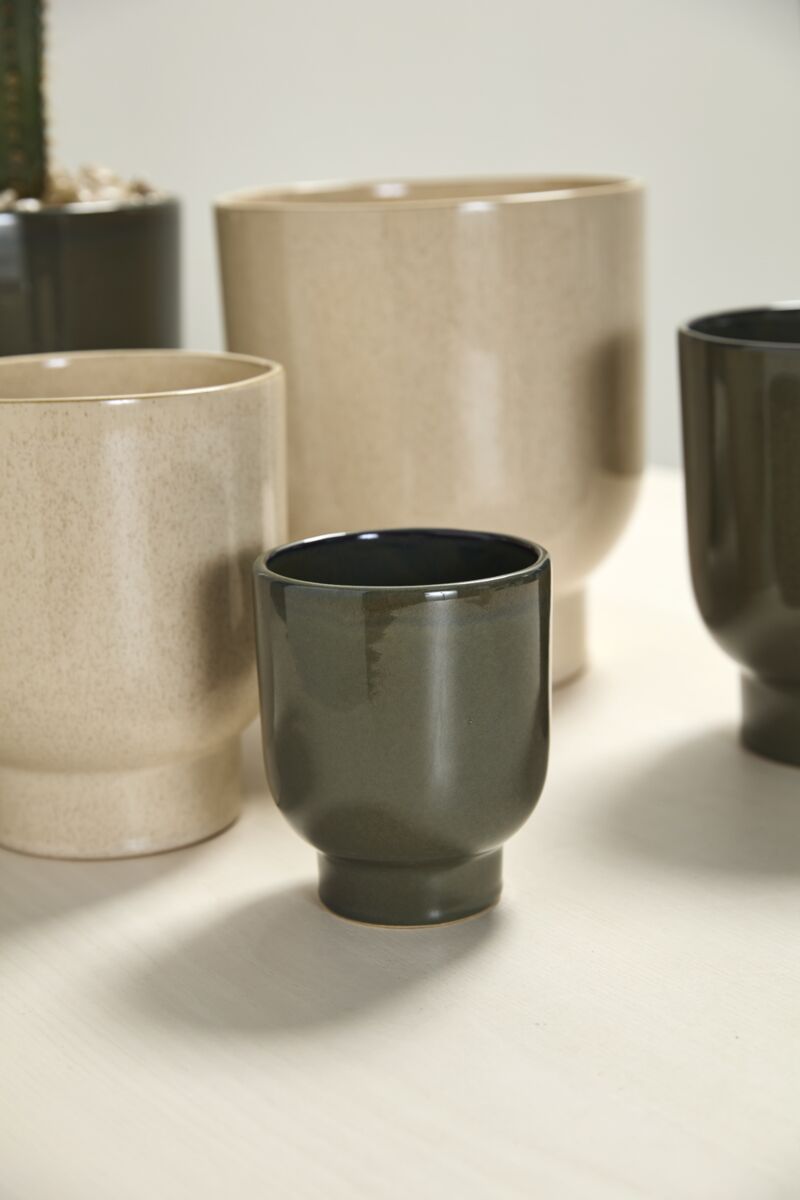 The Muse Collection