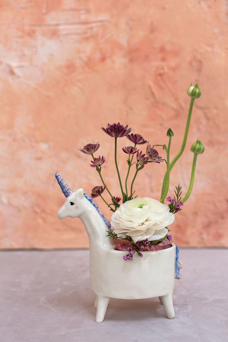 Jardinera Unicornio