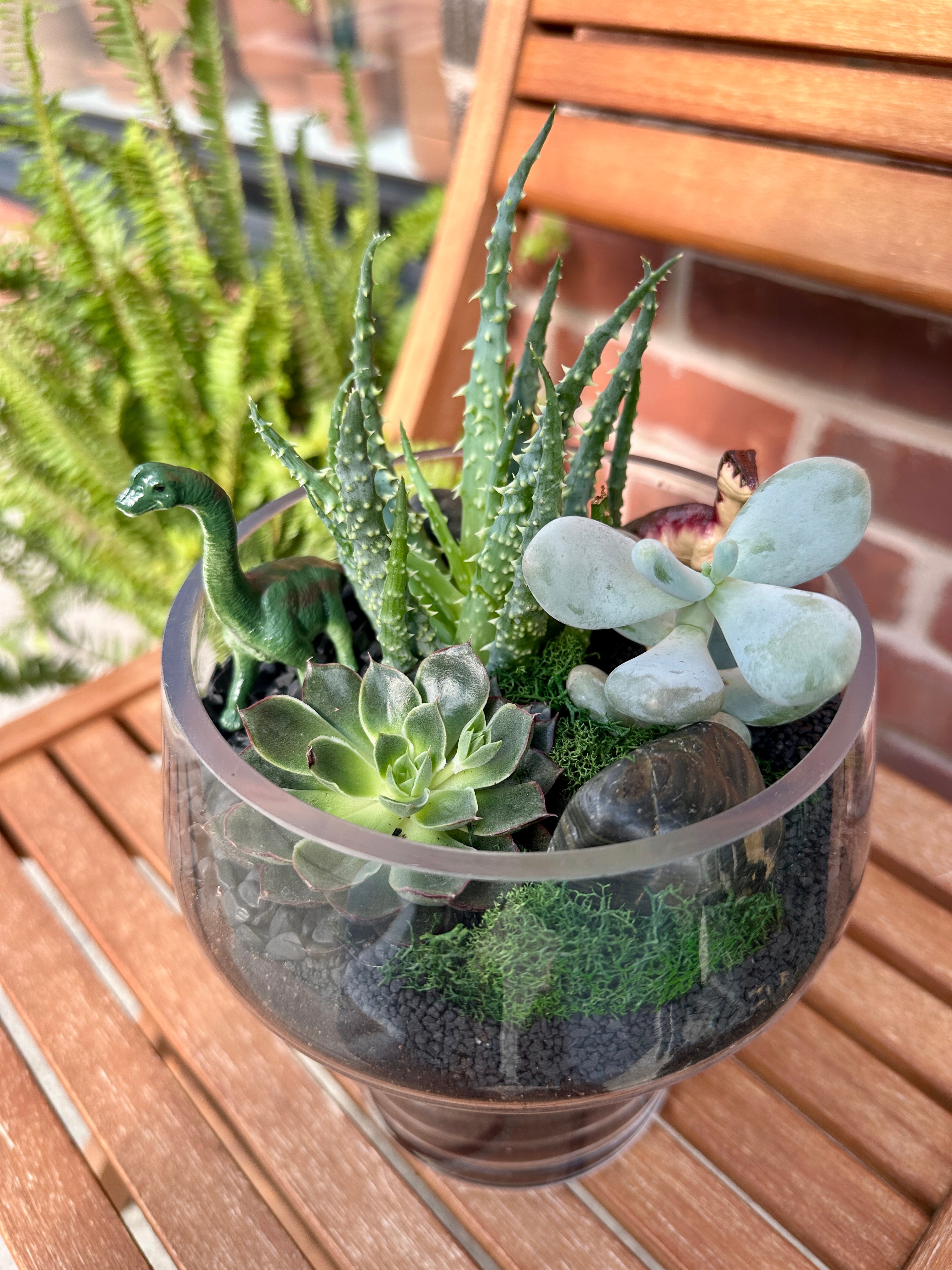 Dinos & Drinks: A Prehistoric Plant Workshop