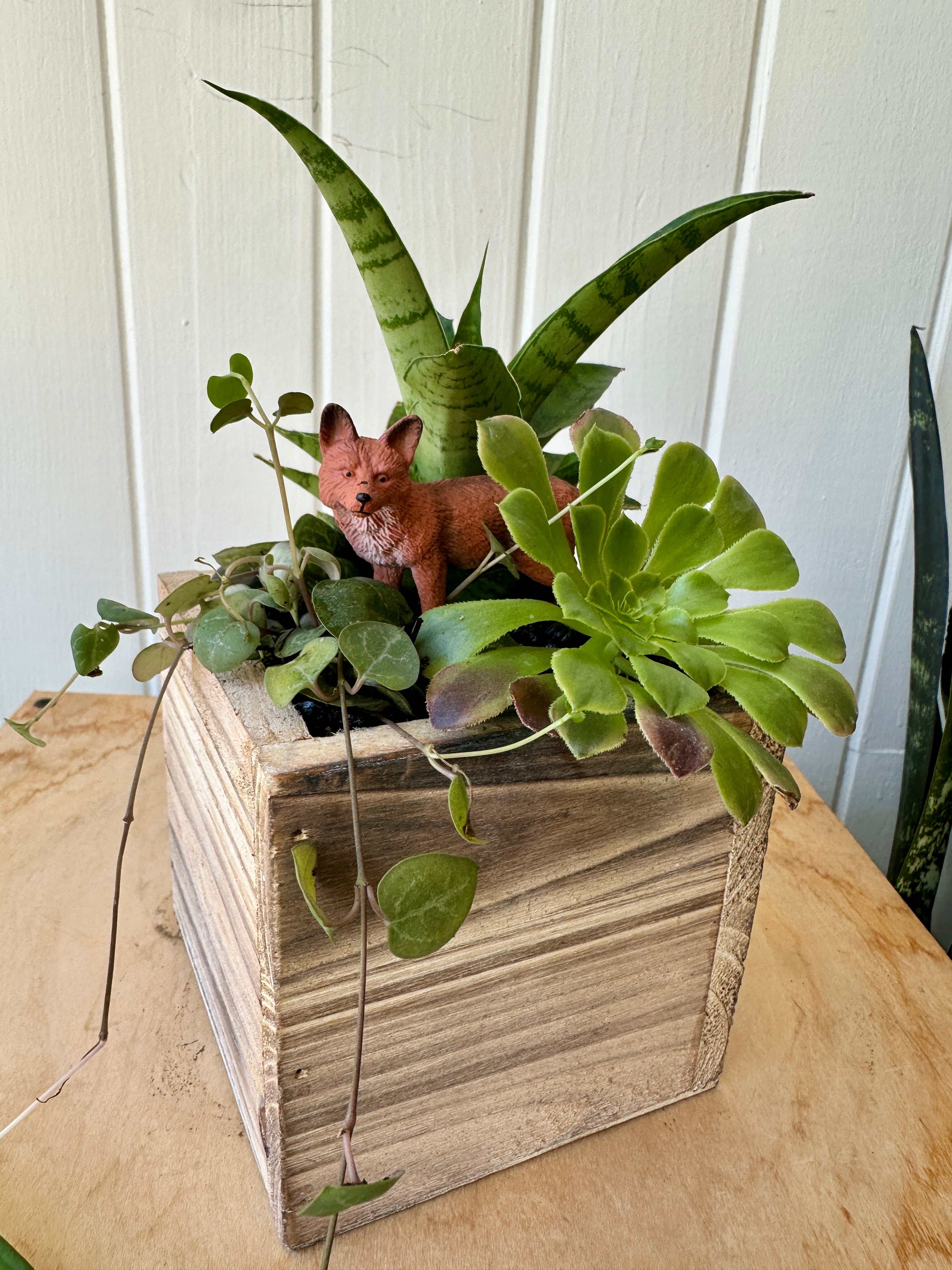 Foliage Kids Workshops