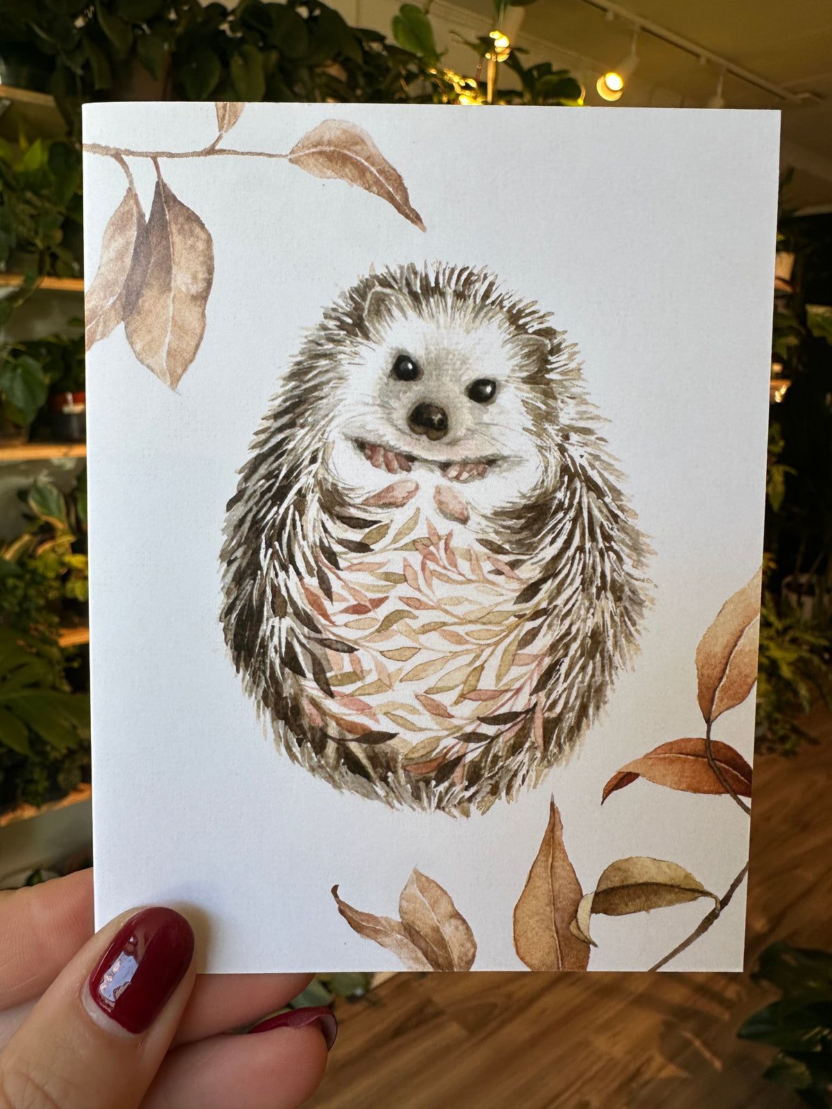 Hedgehog Notecard