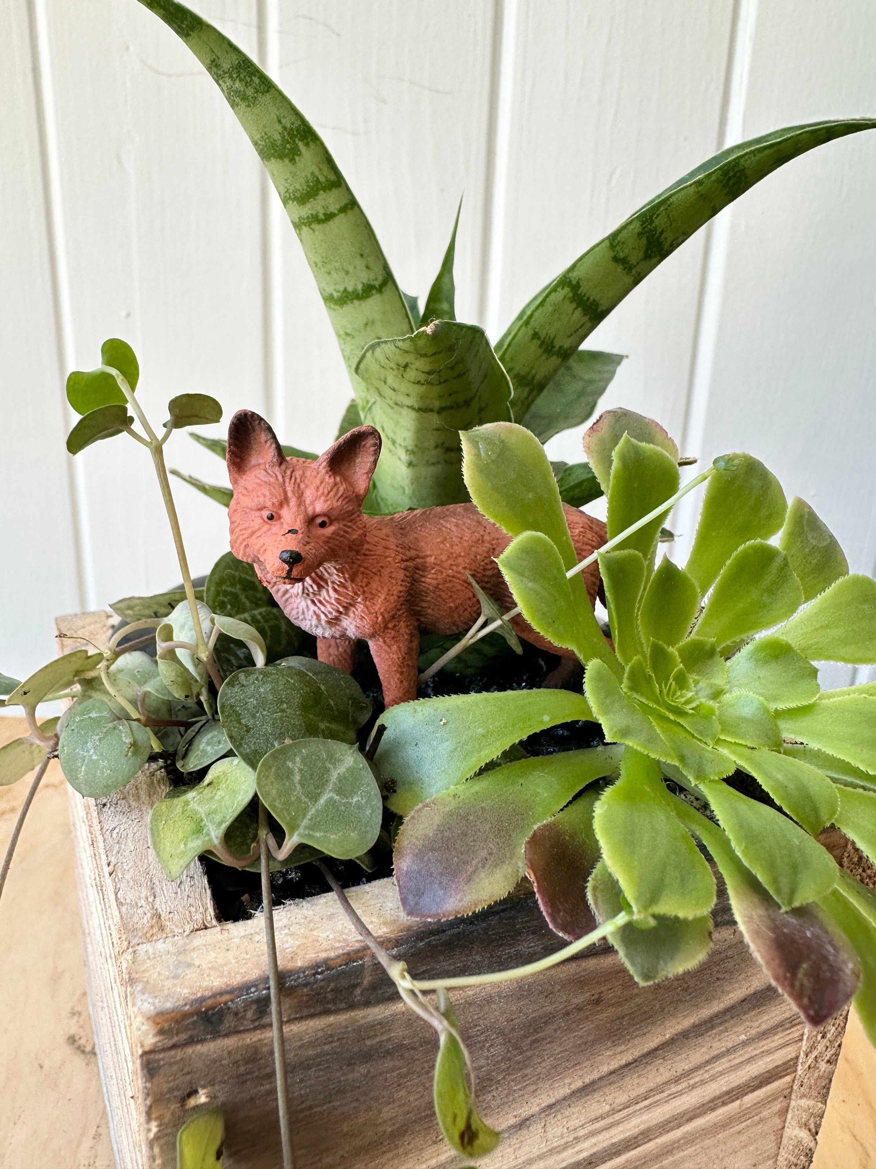 Foliage Kids Workshops