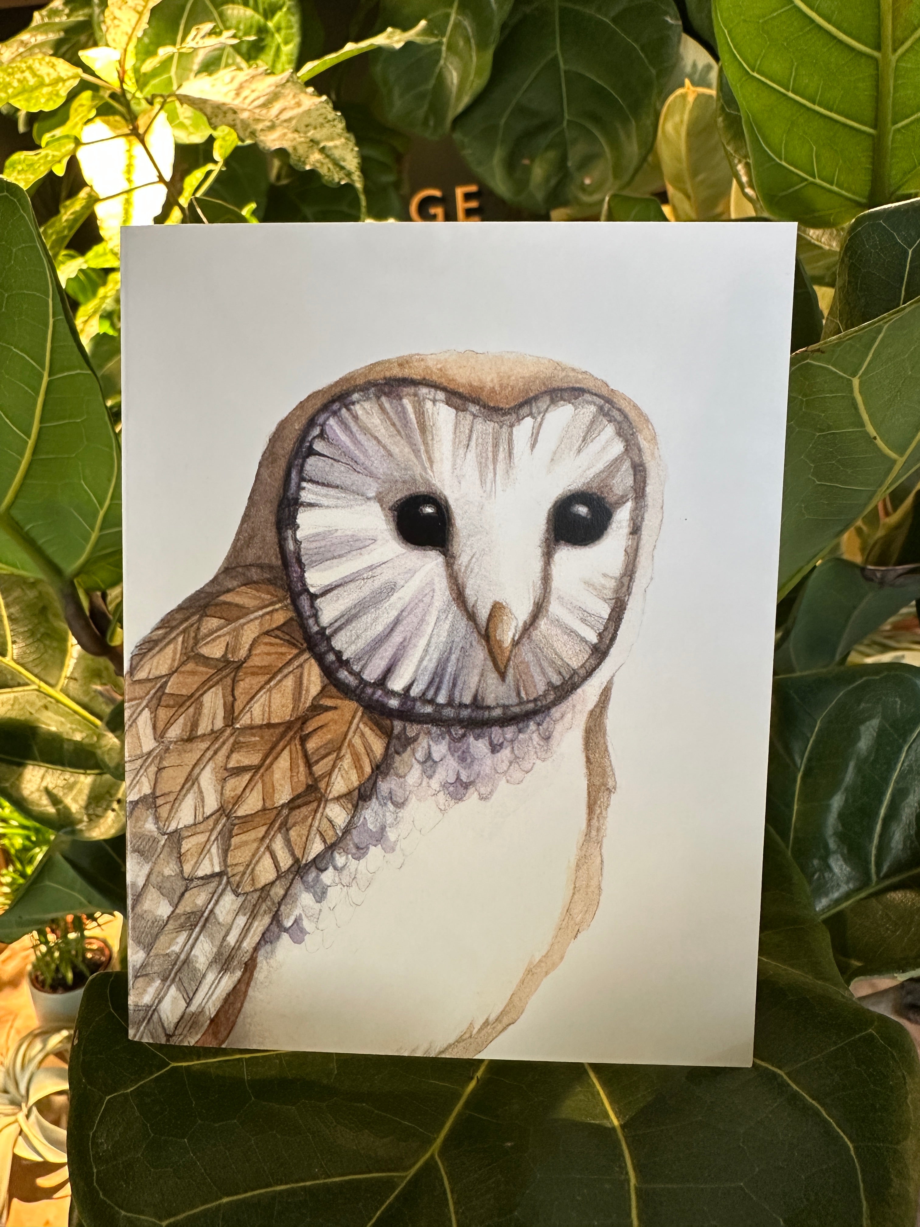 Barn Owl Notecard