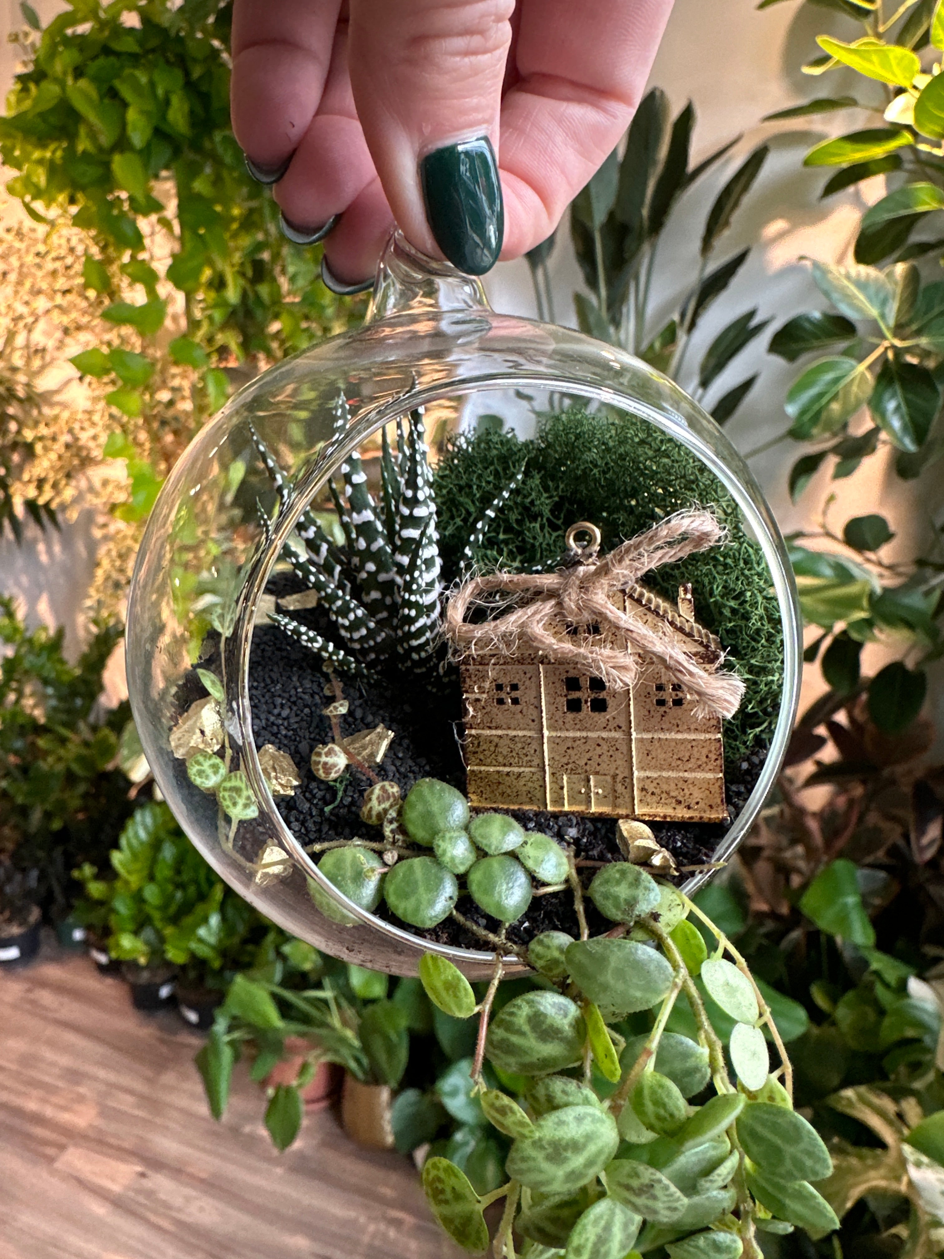 Festive Succulent Ornaments Workshop