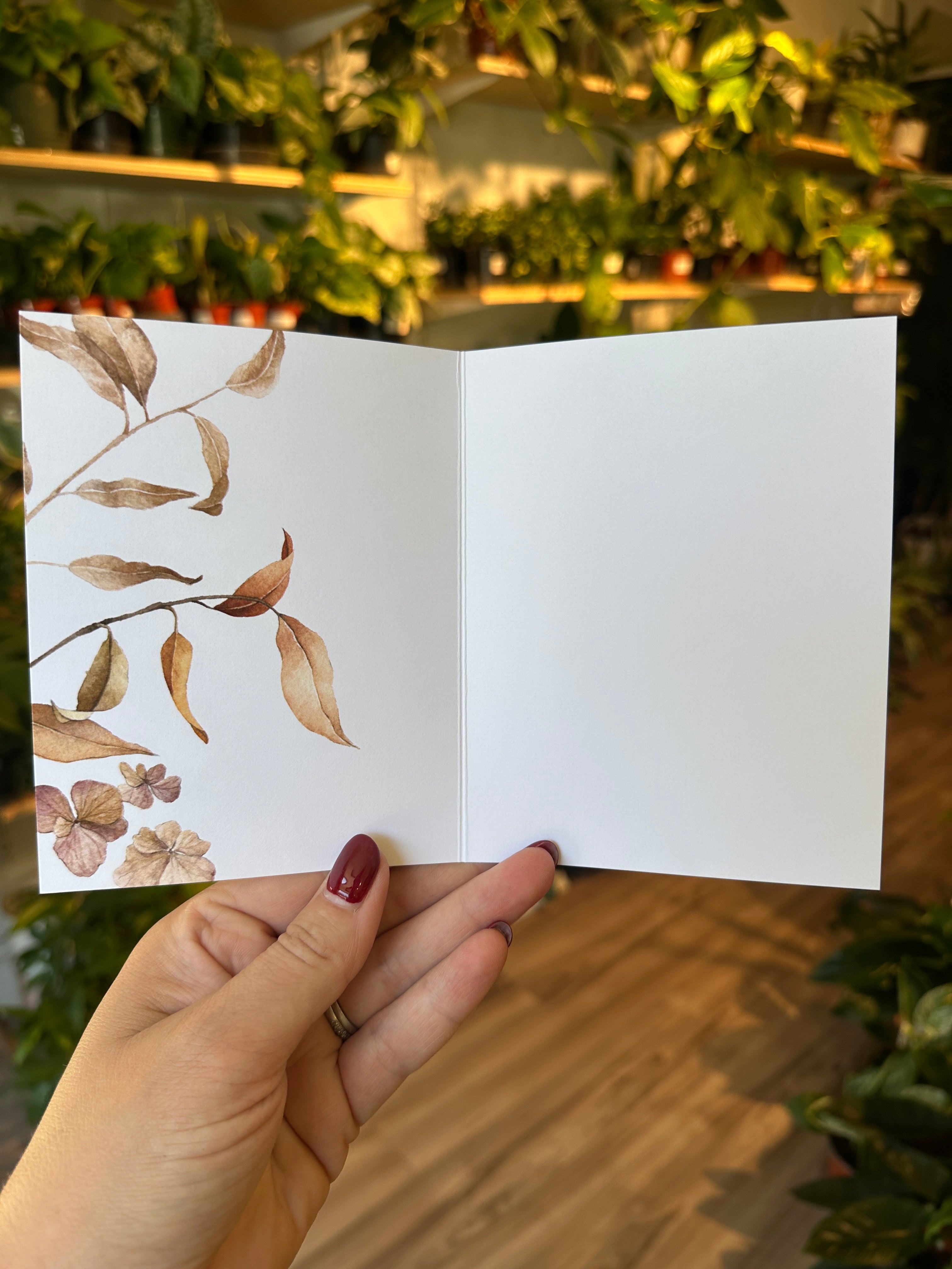 Hedgehog Notecard