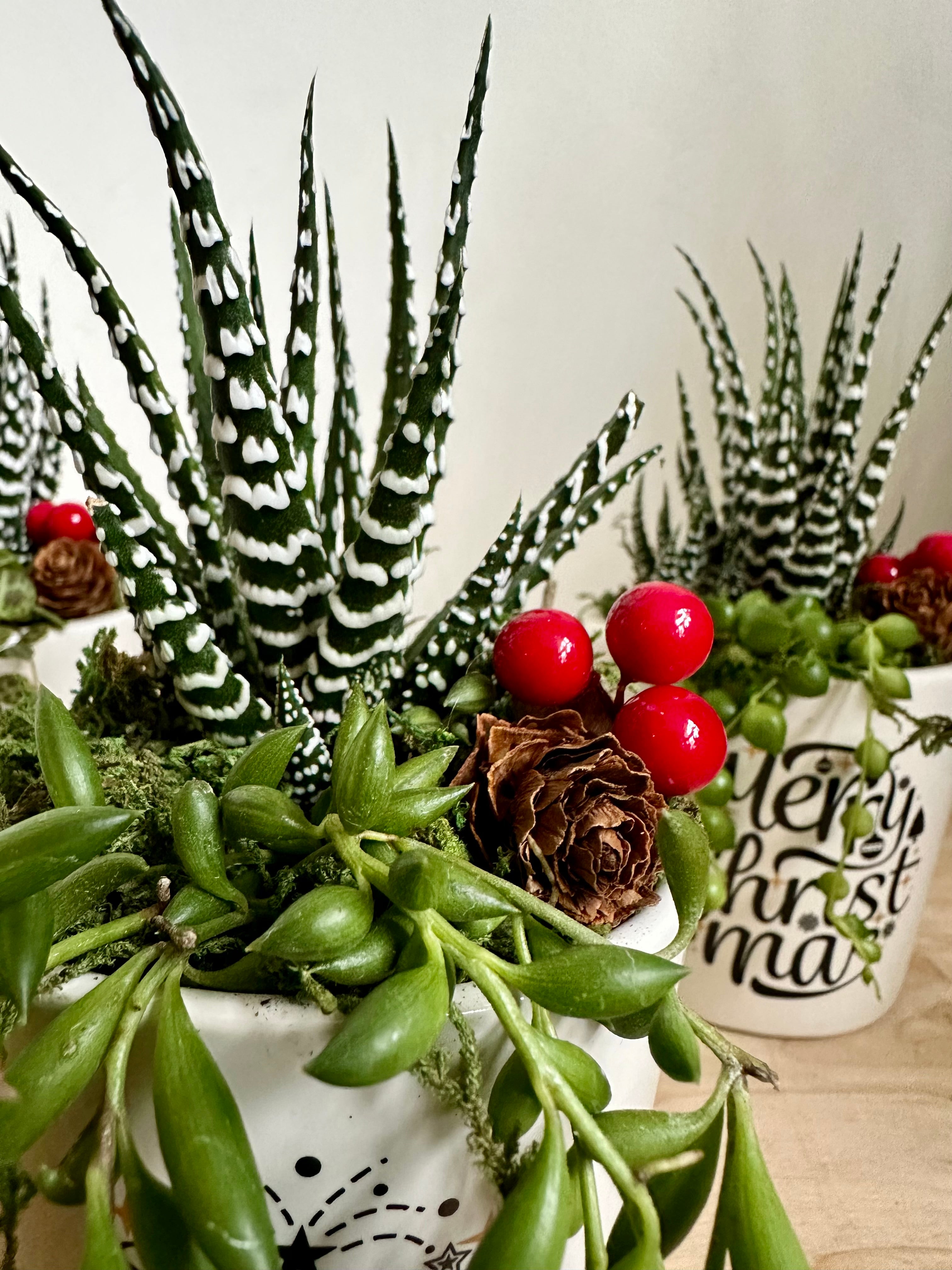 Season's Greetings Holiday Mini Garden