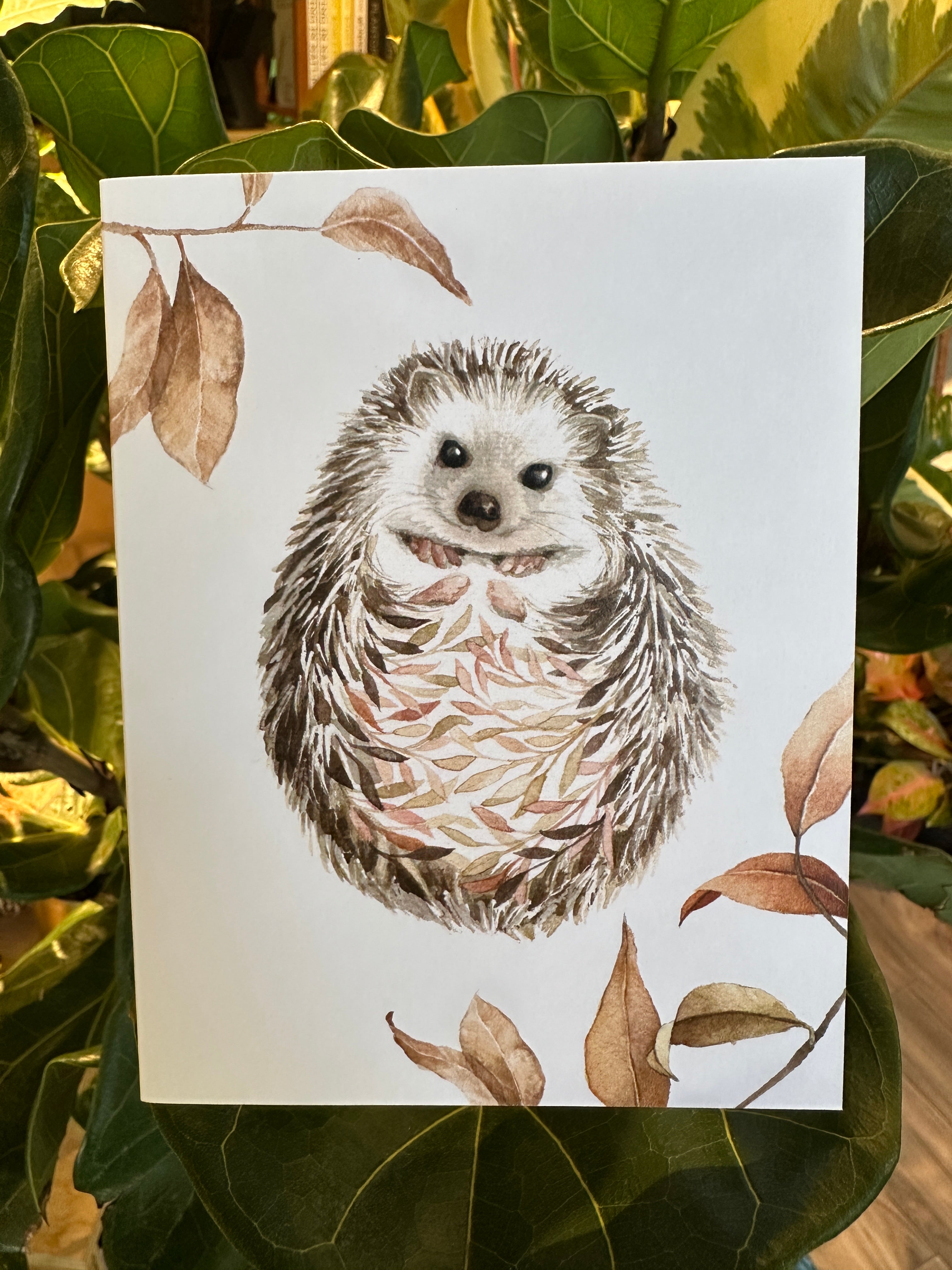 Hedgehog Notecard