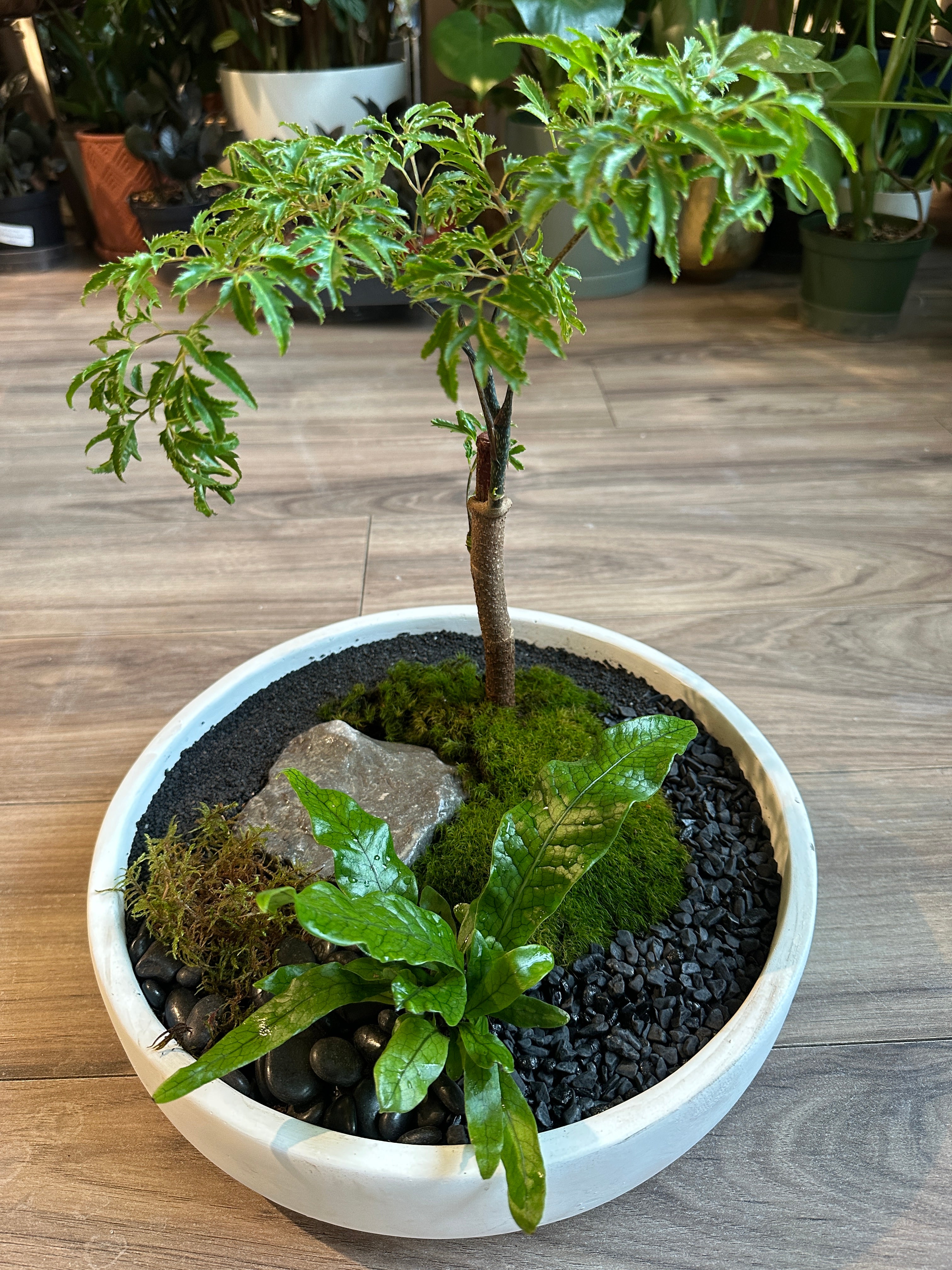 Living Moss Landscapes Workshop