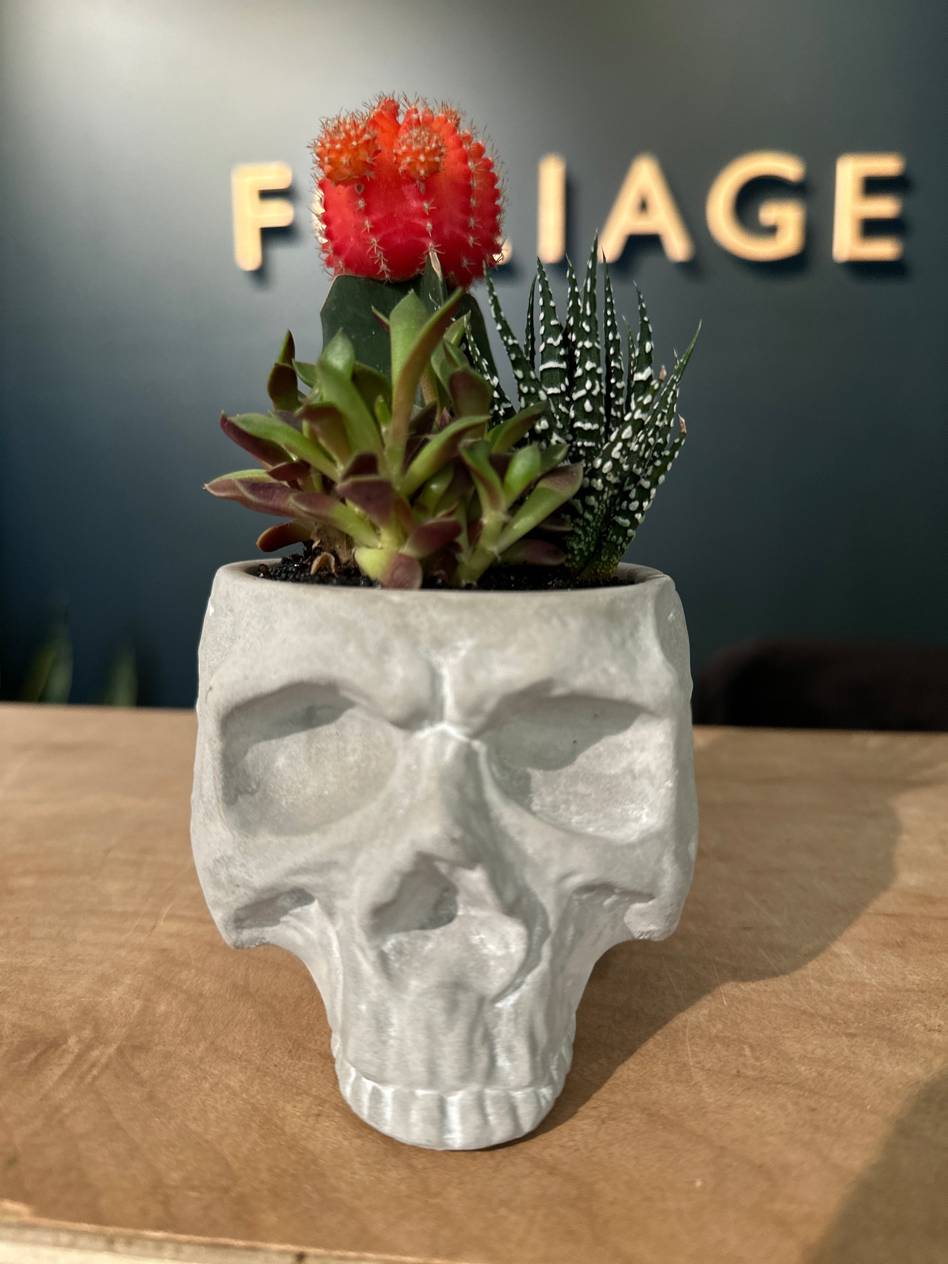 Small Reaper Skull Fall Succulent Garden