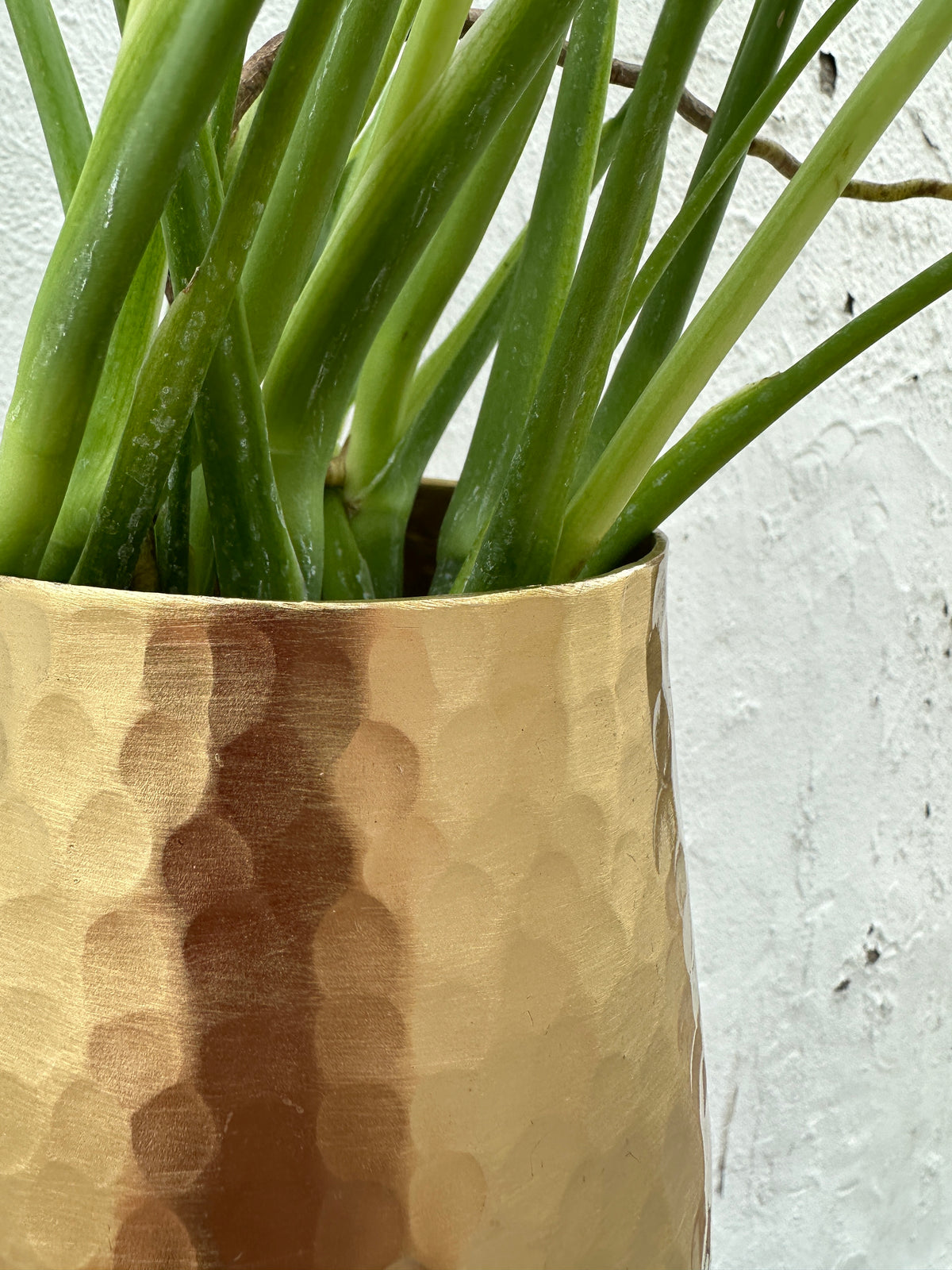 Hux Pot Collection