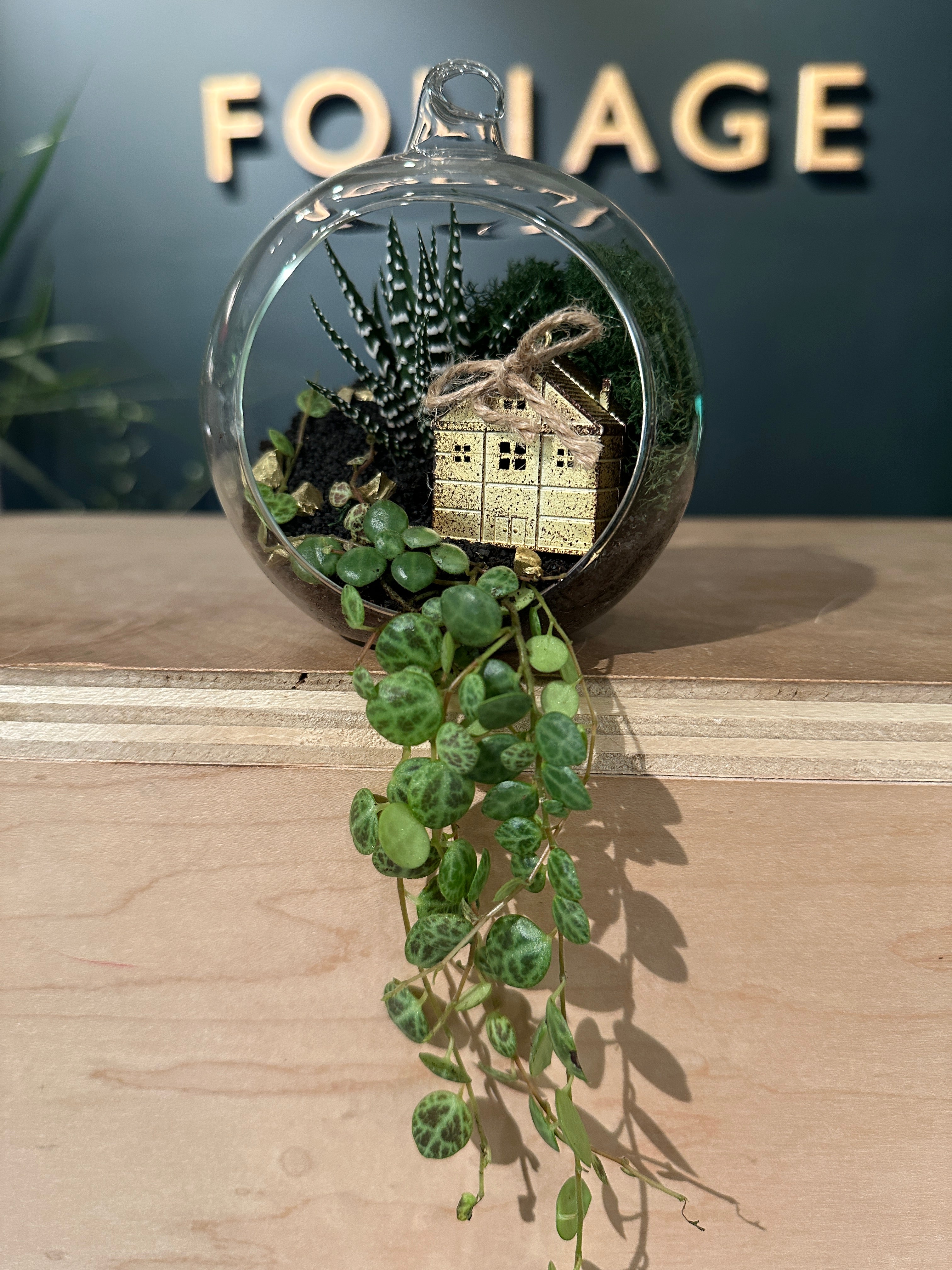 Arreglo de Tillandsia para las fiestas en el terrario Luna Orb