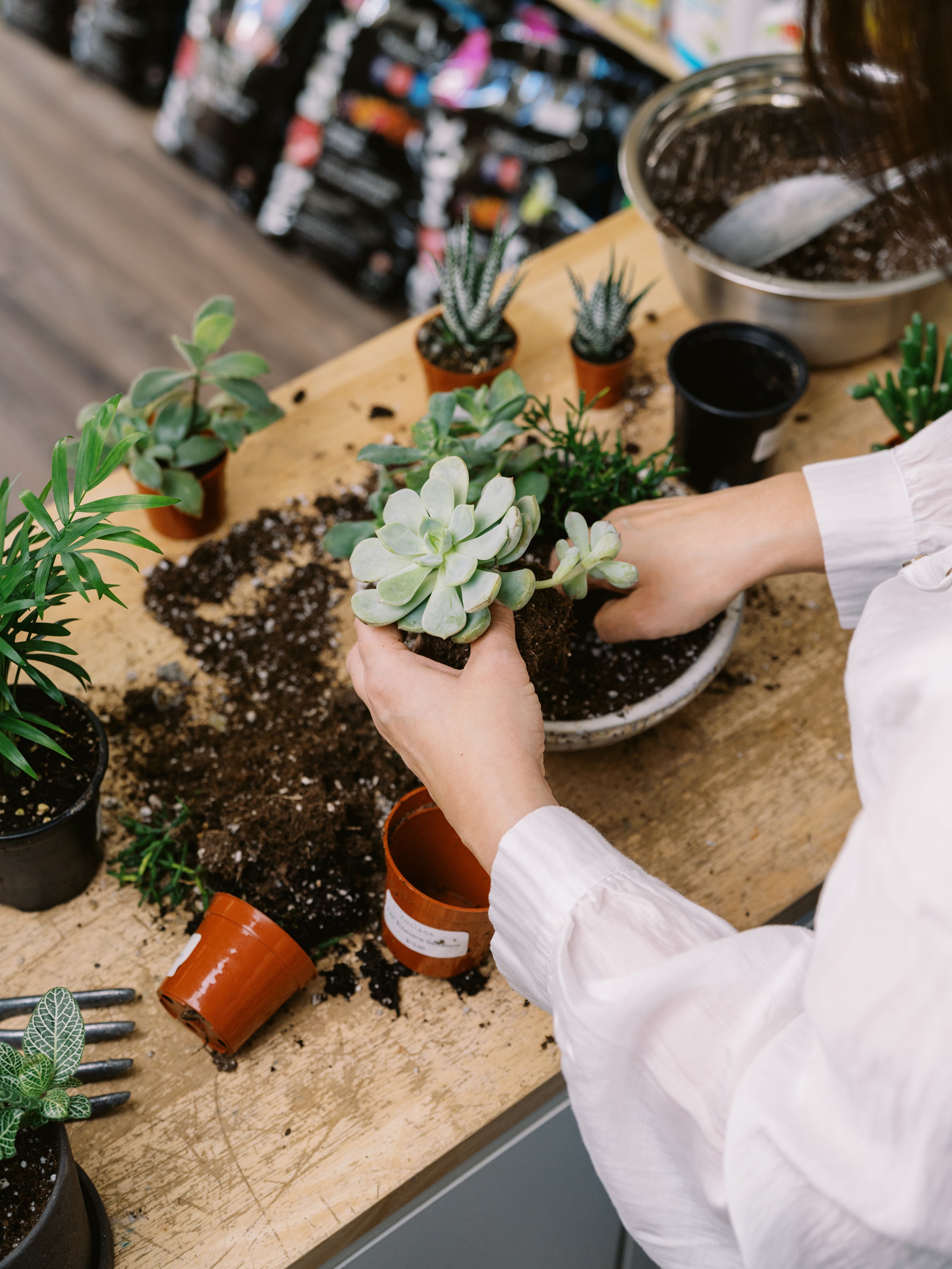 The Plant Bar Workshop