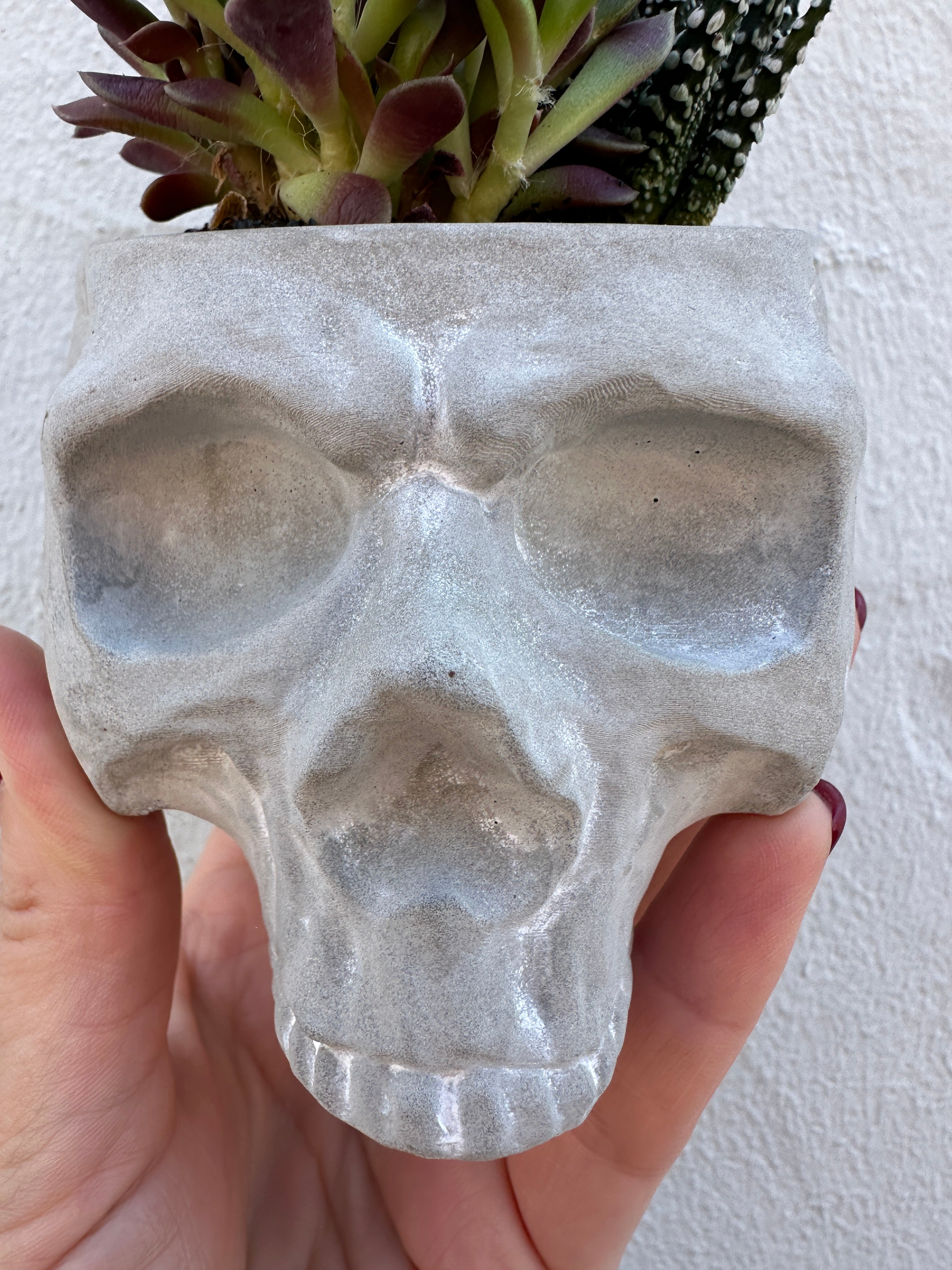 Small Reaper Skull Fall Succulent Garden