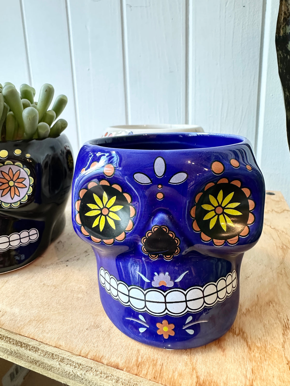 Sugar Skull Collection