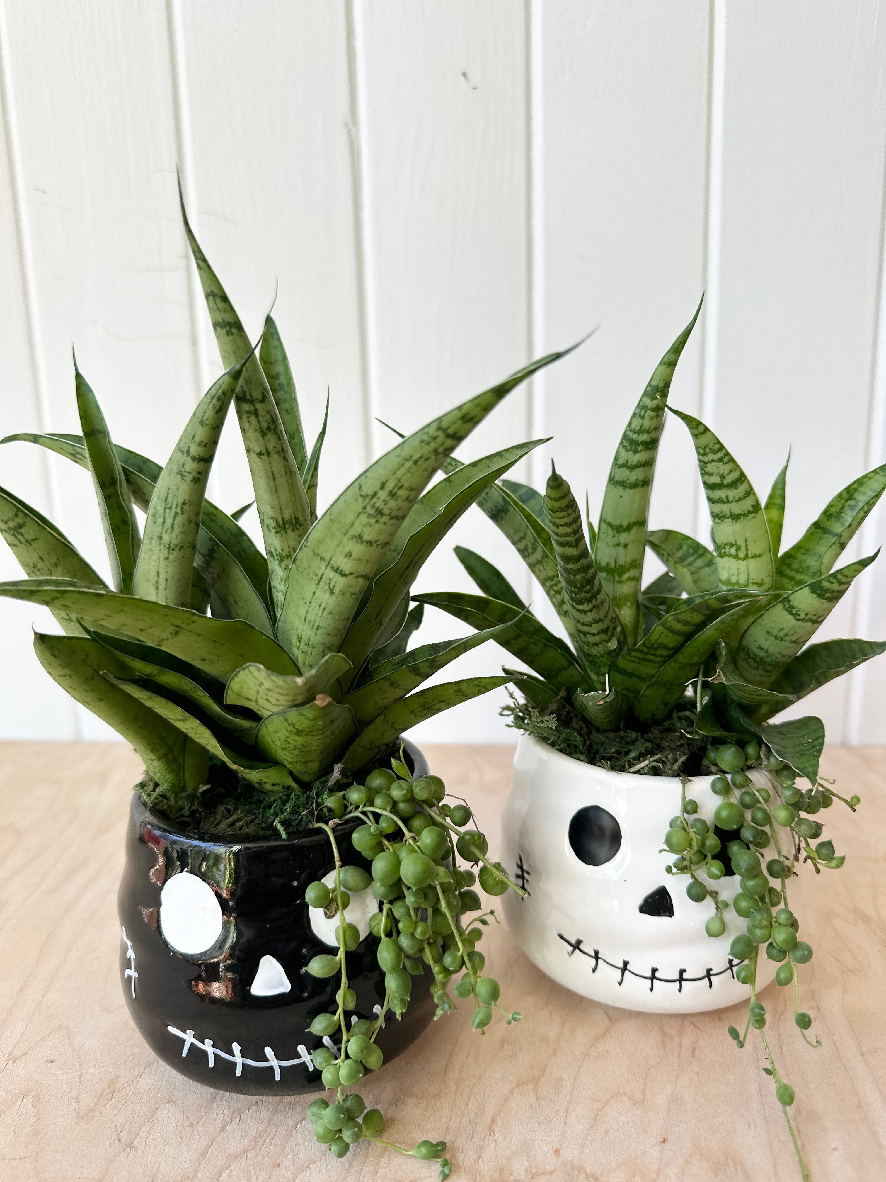 Halloween Faces Fall Tough Lady Mini Garden
