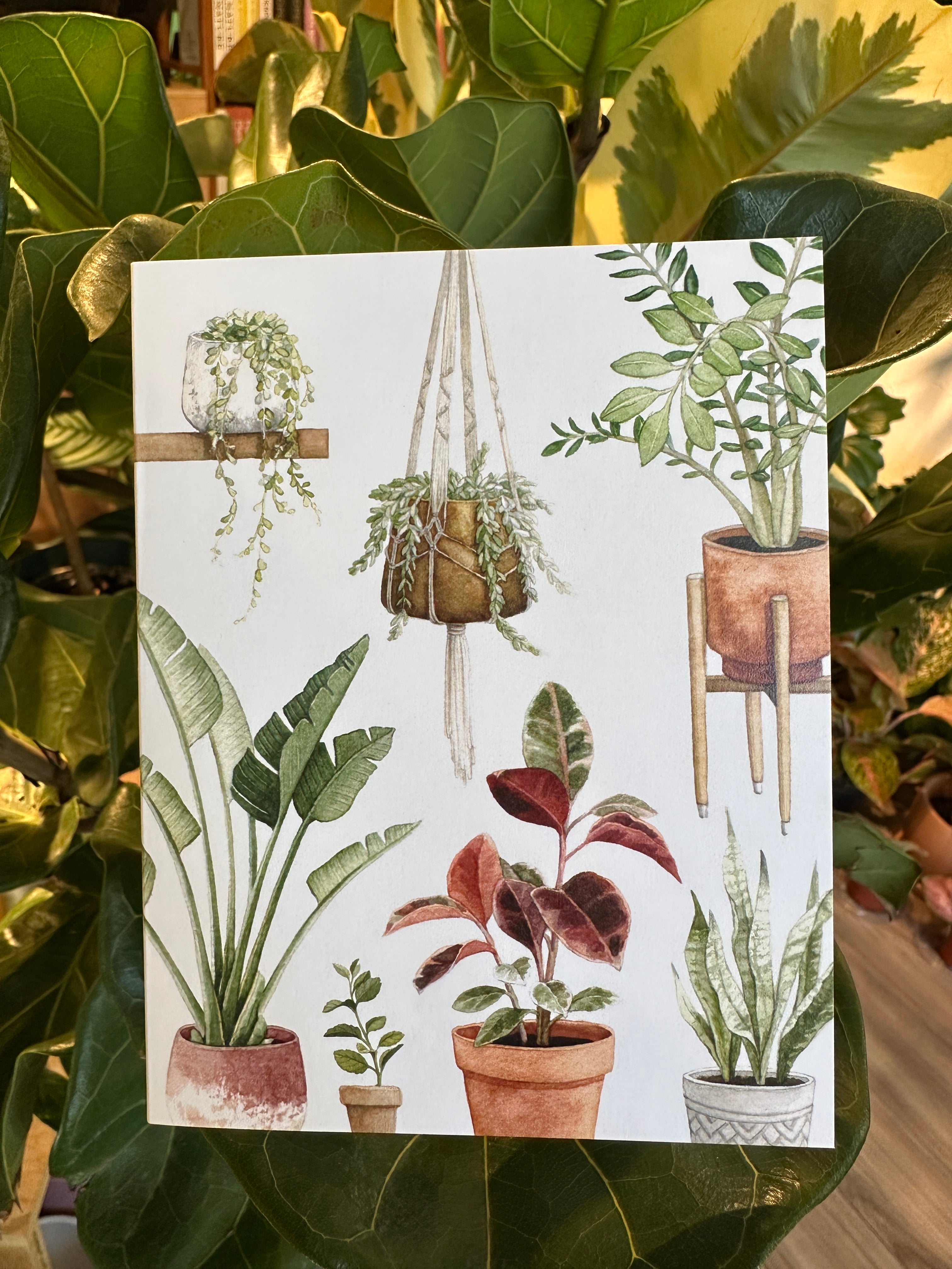 Crazy Plant Person Notecard