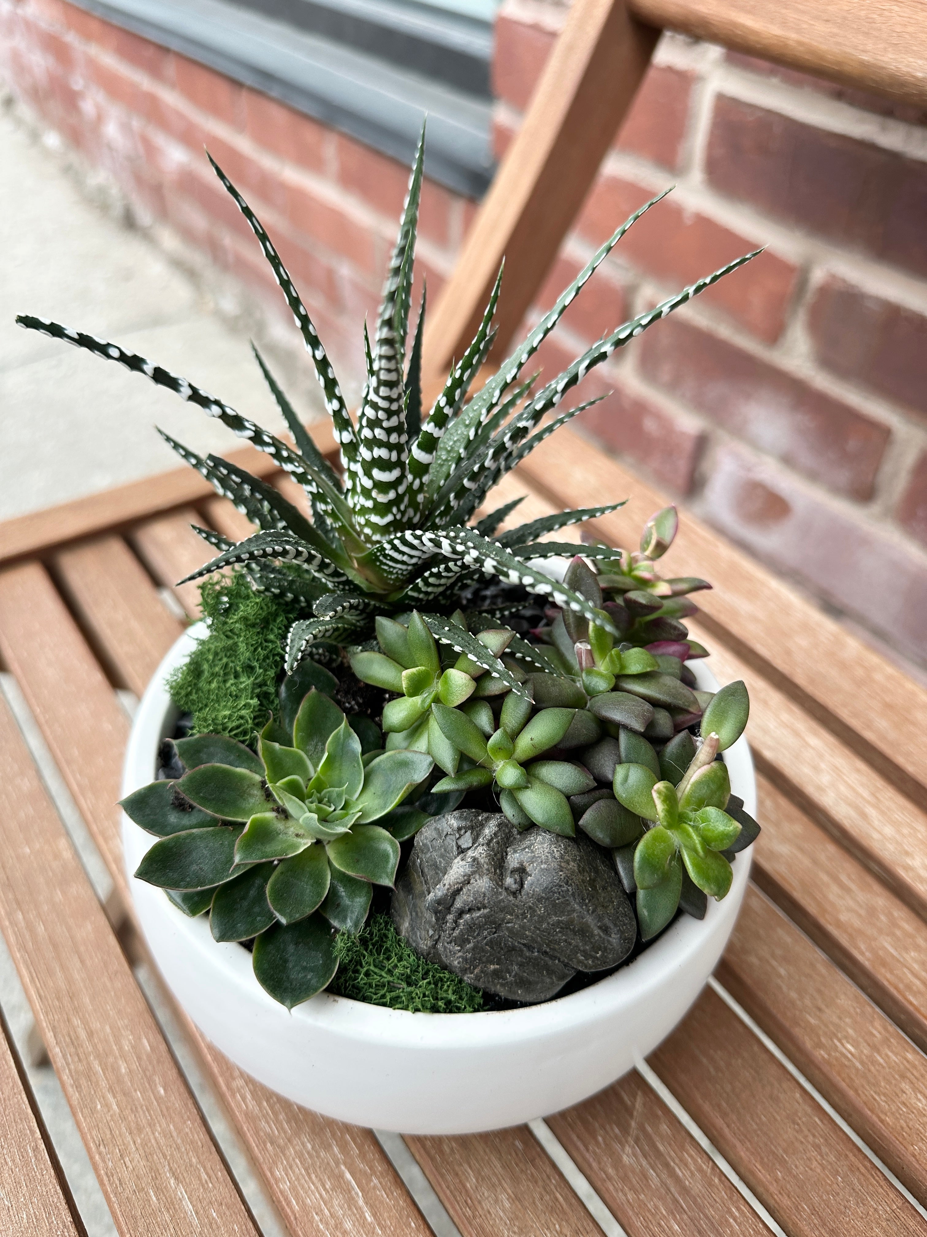 Foliage Mini Workshops