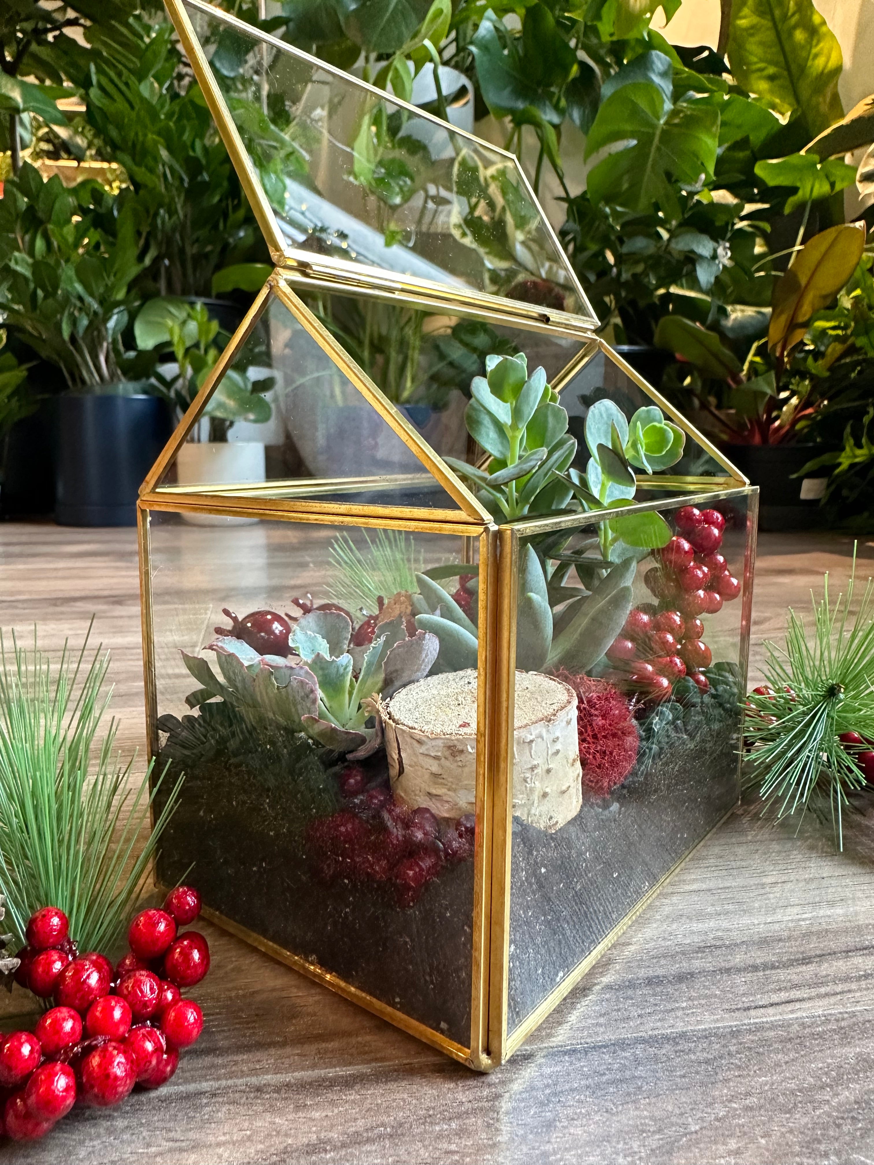 Winter Terrarium Workshop