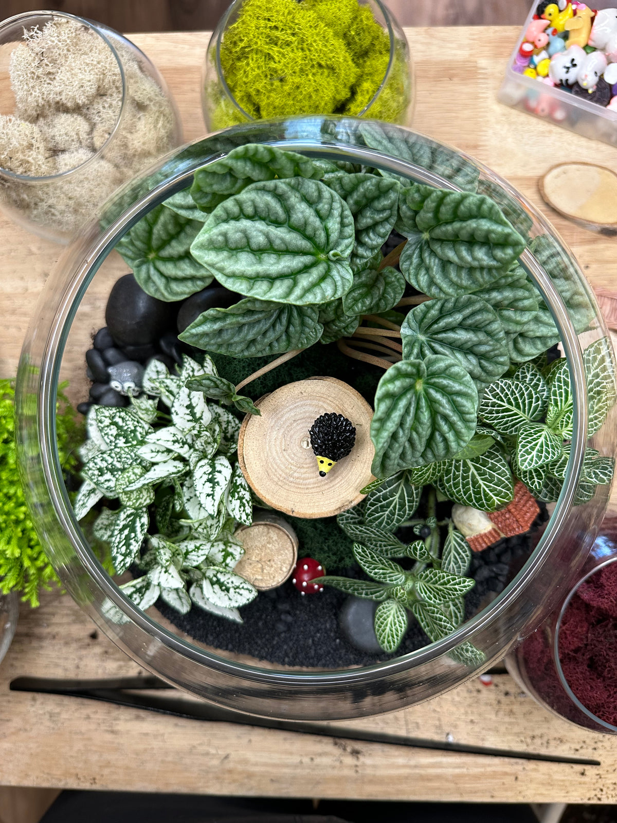 Plant Night Workshop