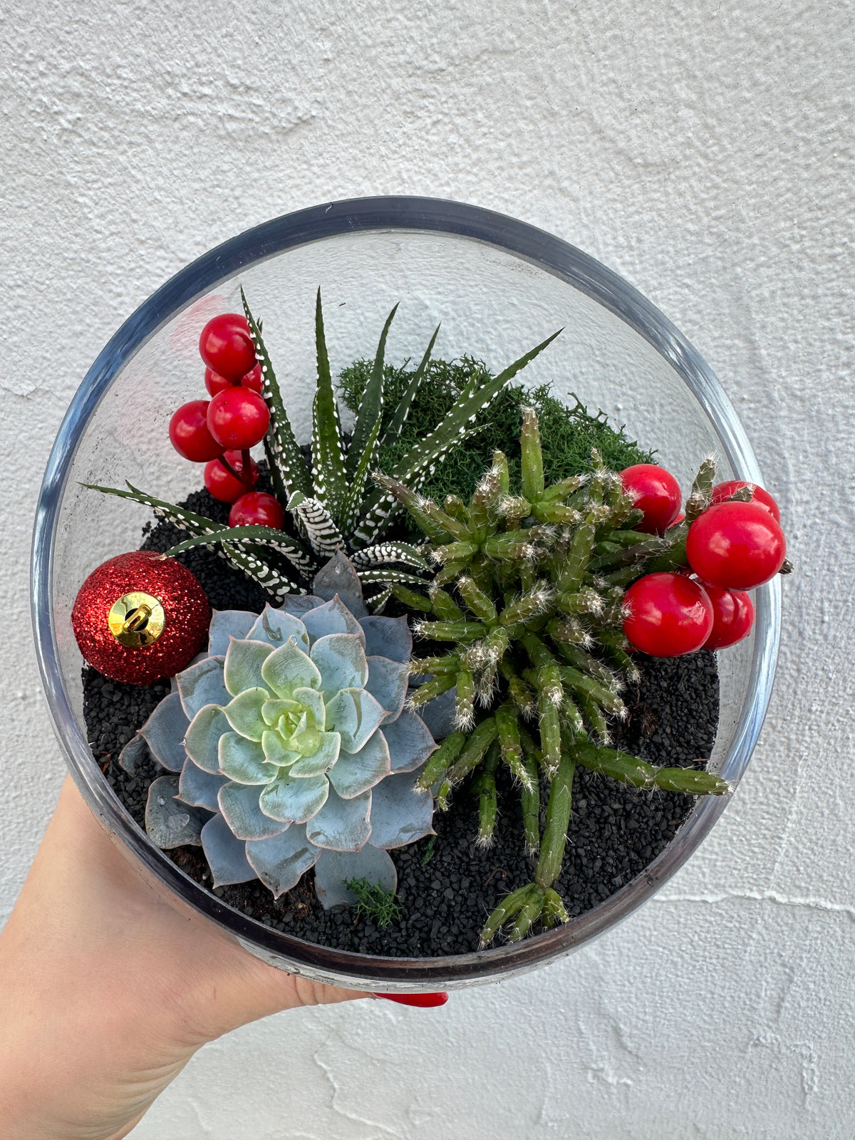 The Festive Succulent Garden