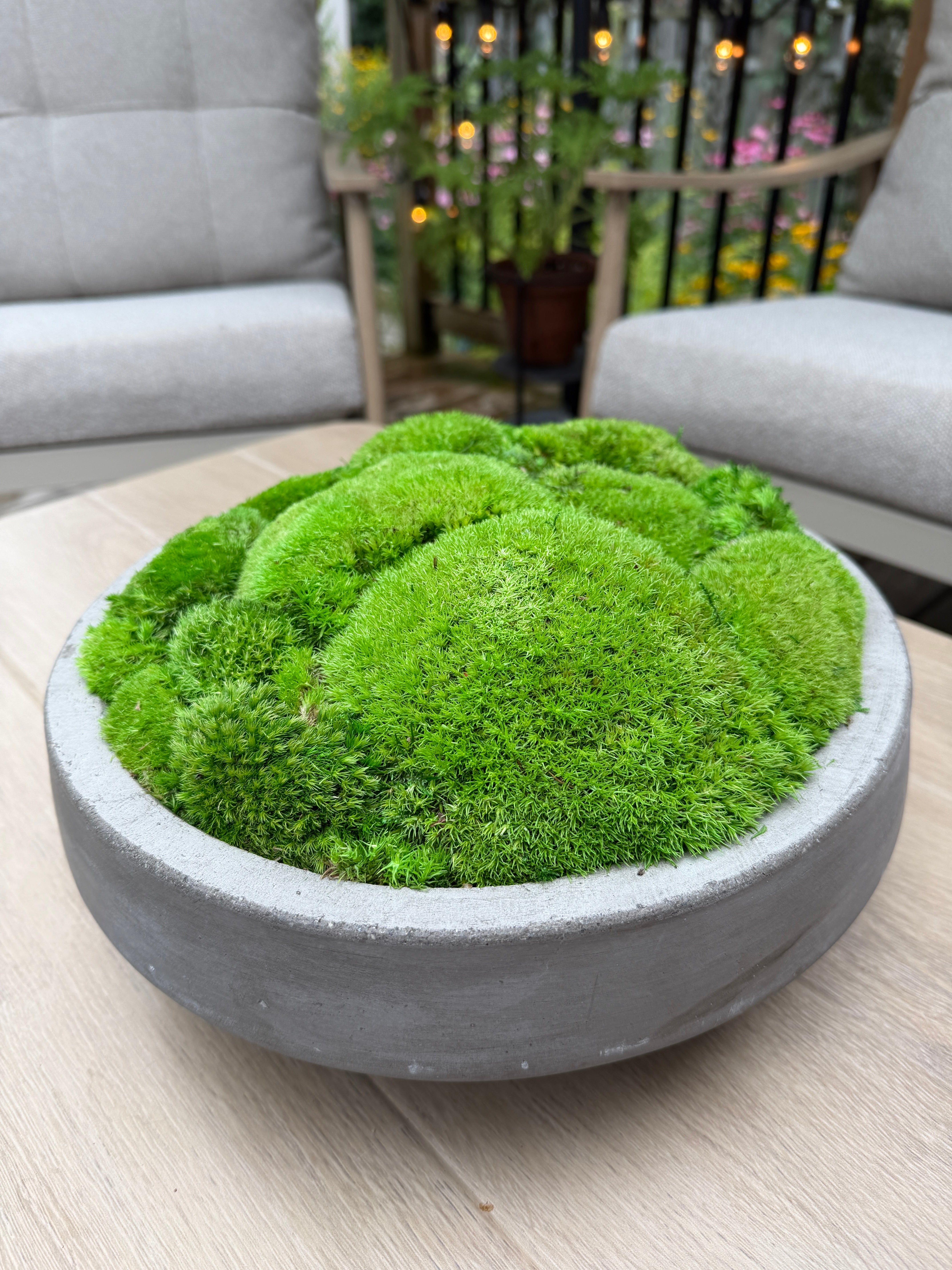 Moss Night Workshop