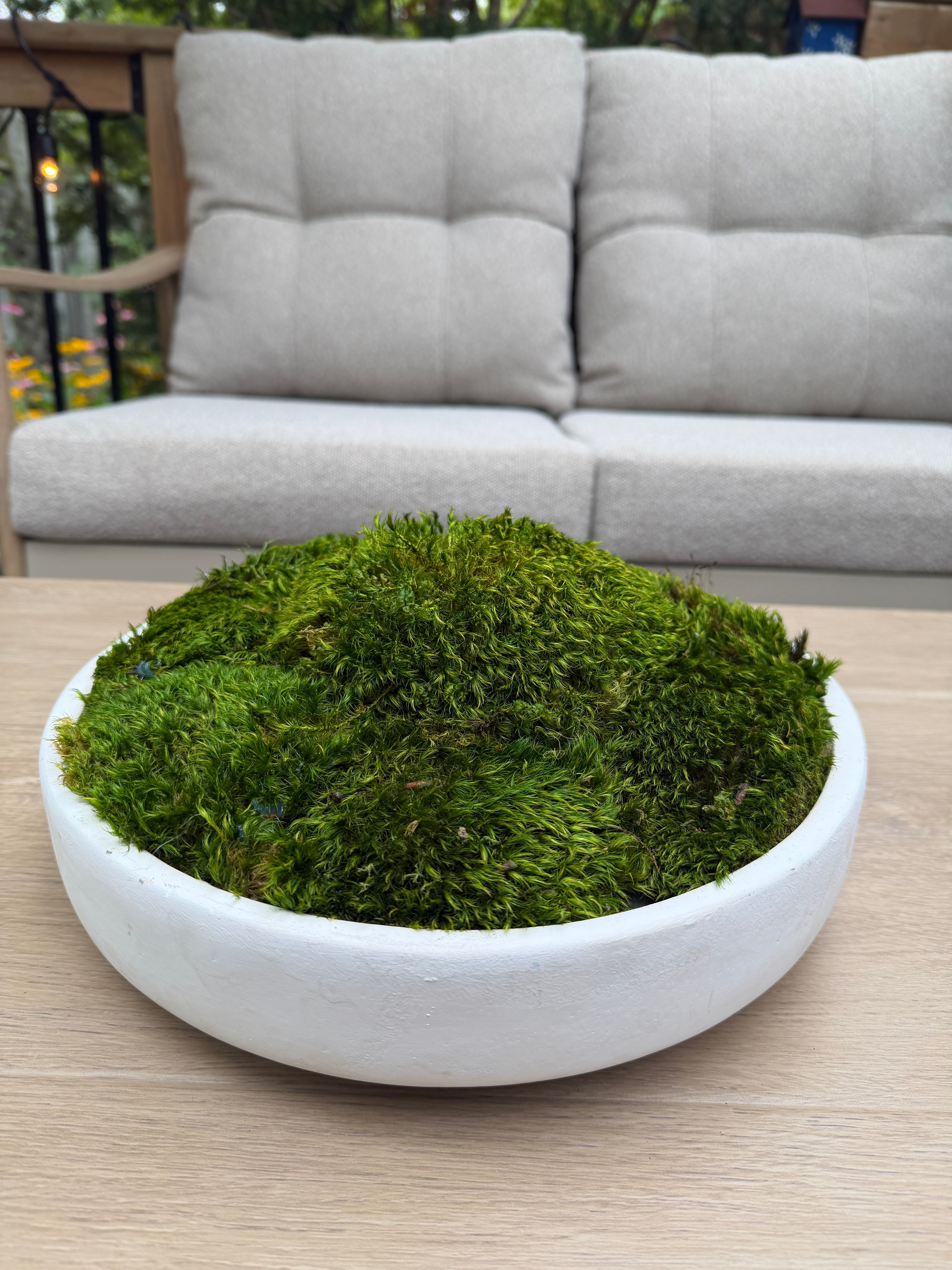 Moss Night Workshop