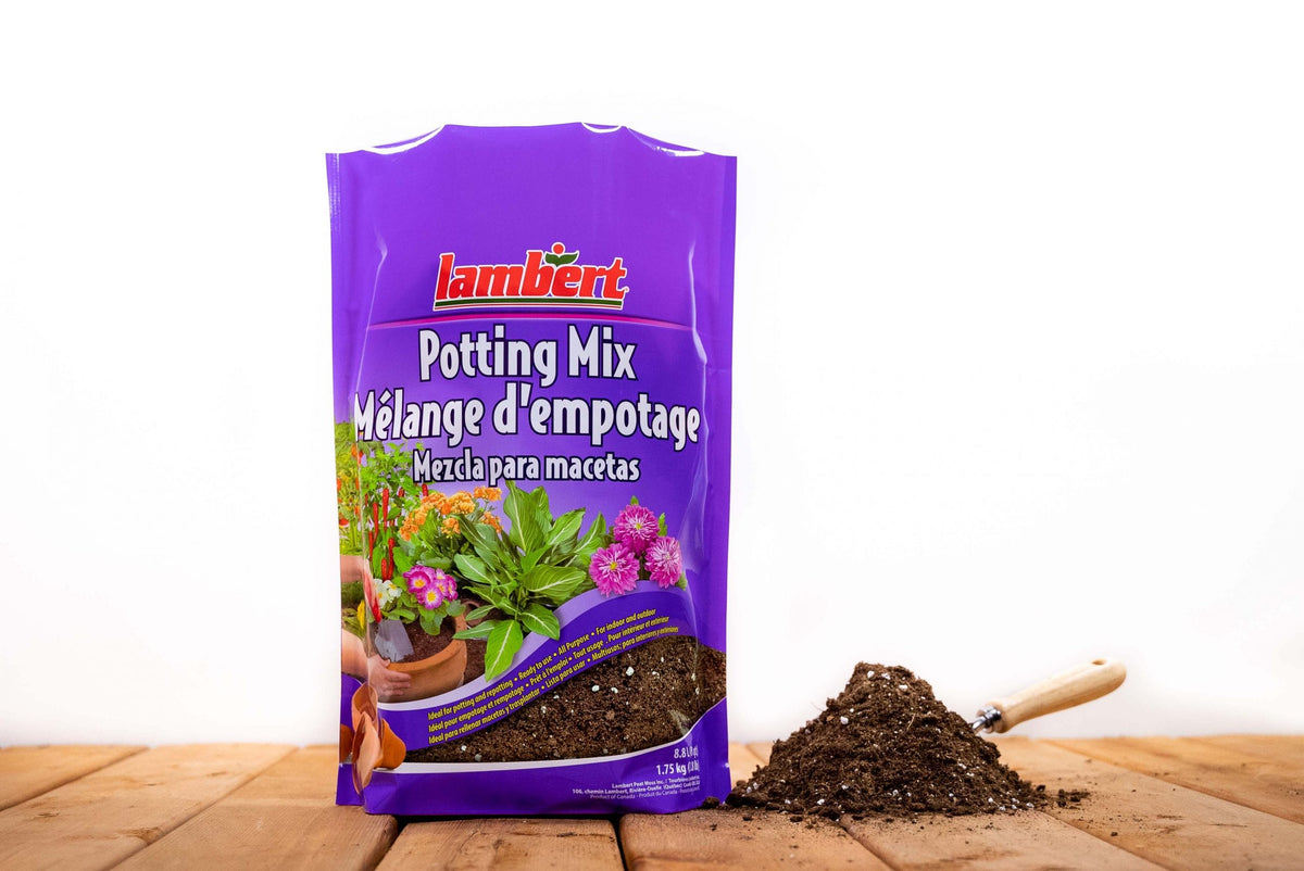 Lambert All Purpose Potting Mix