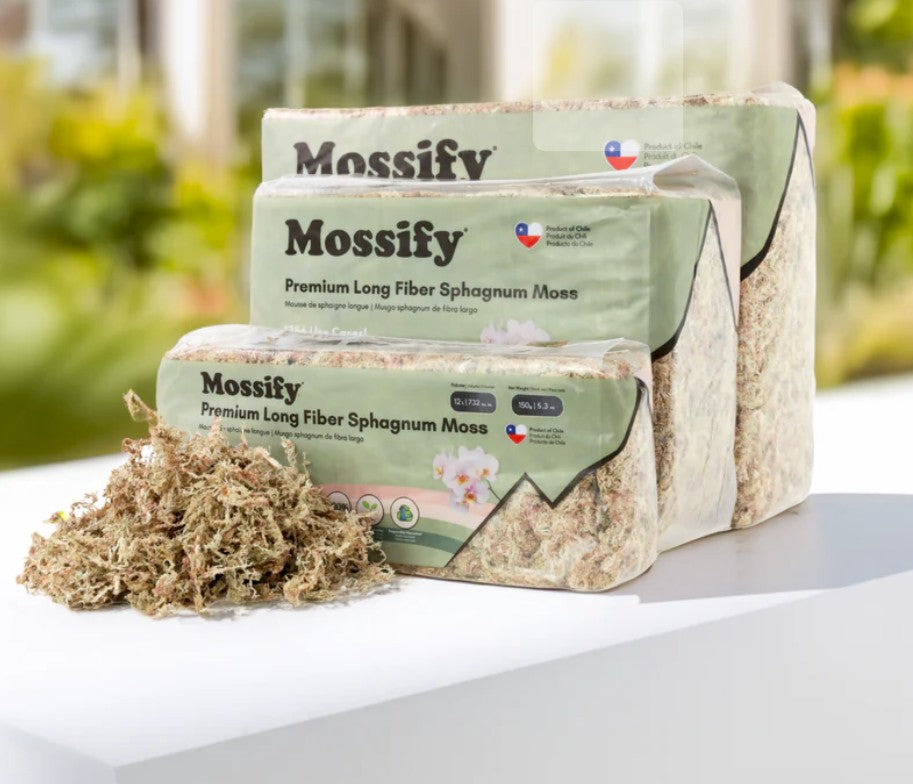Premium Natural Sphagnum Moss