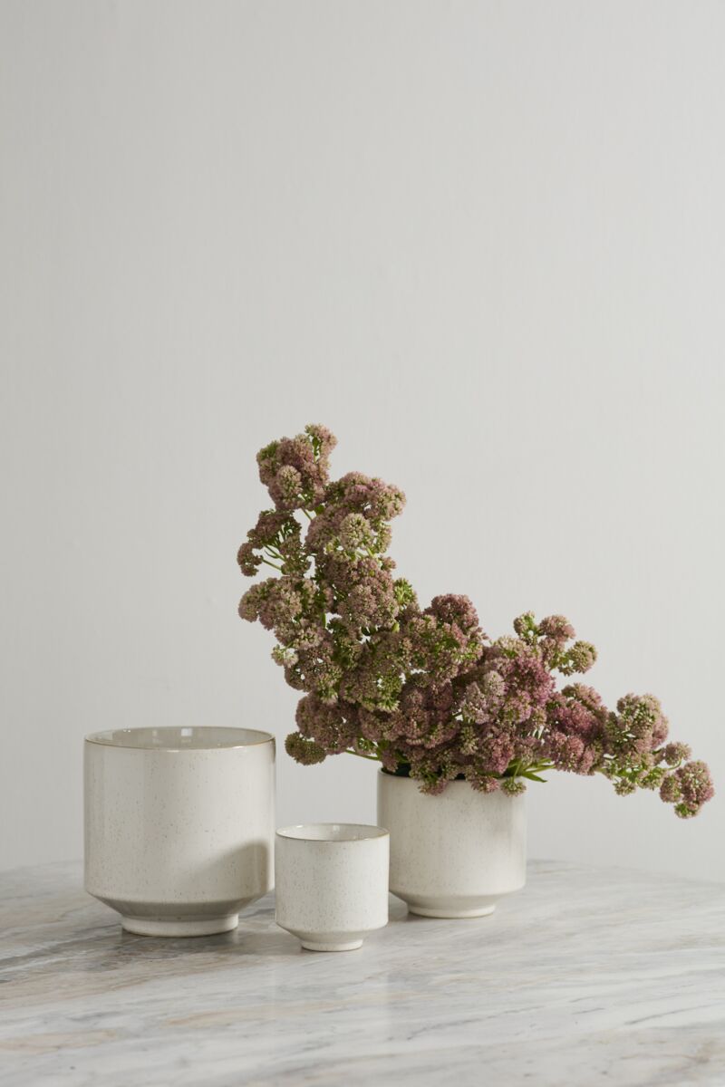 Bello Collection
