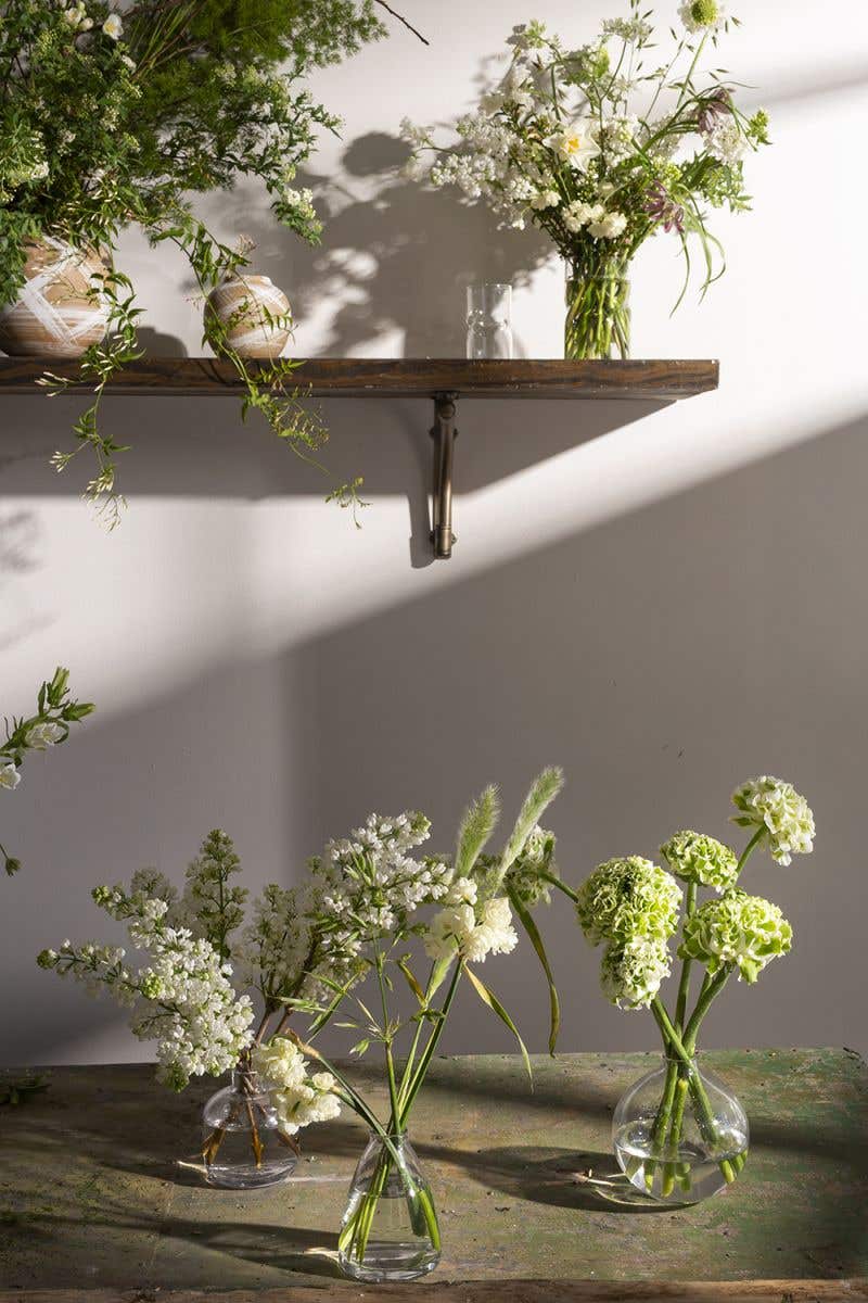 Collection de vases à bourgeons en verre