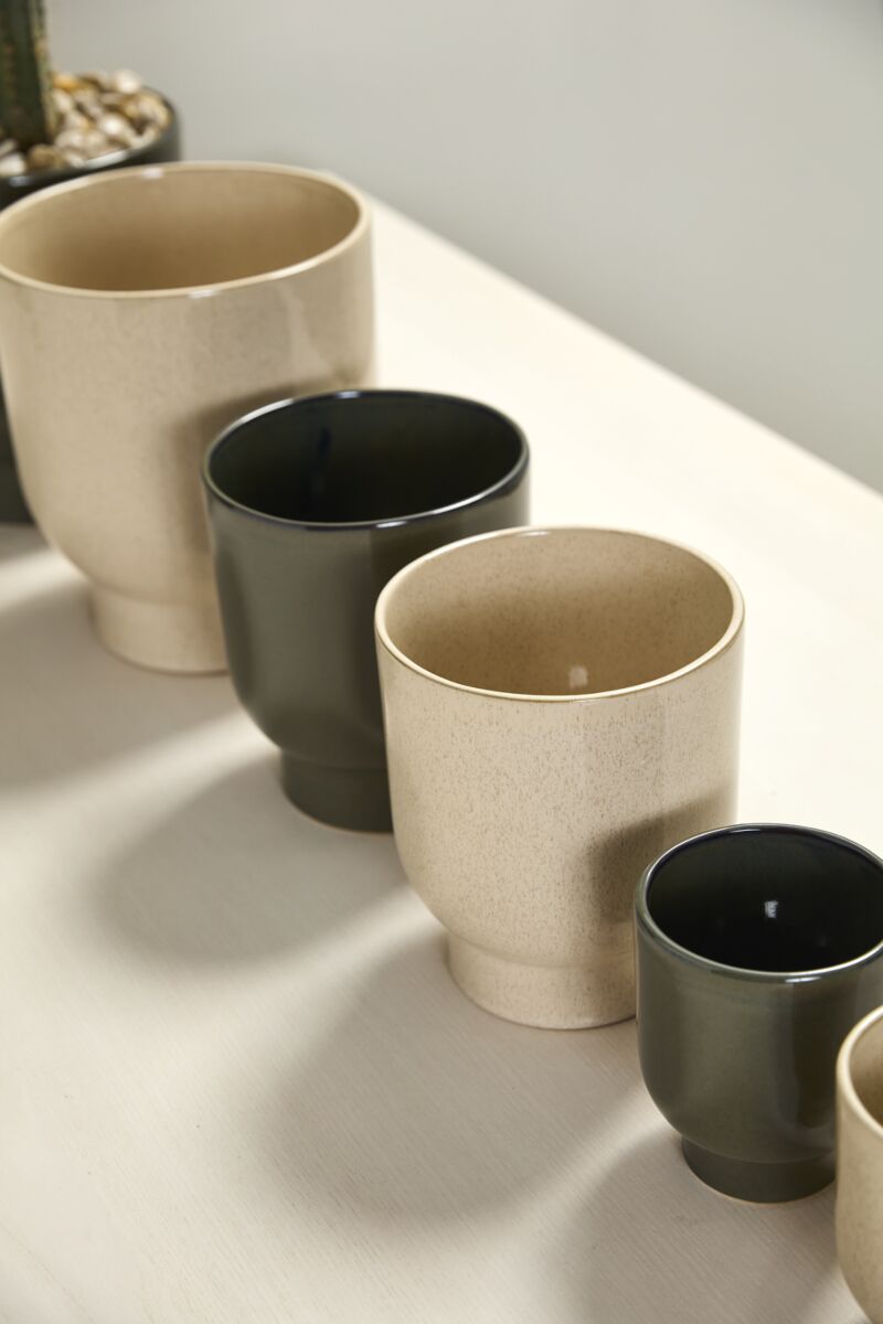 The Muse Collection