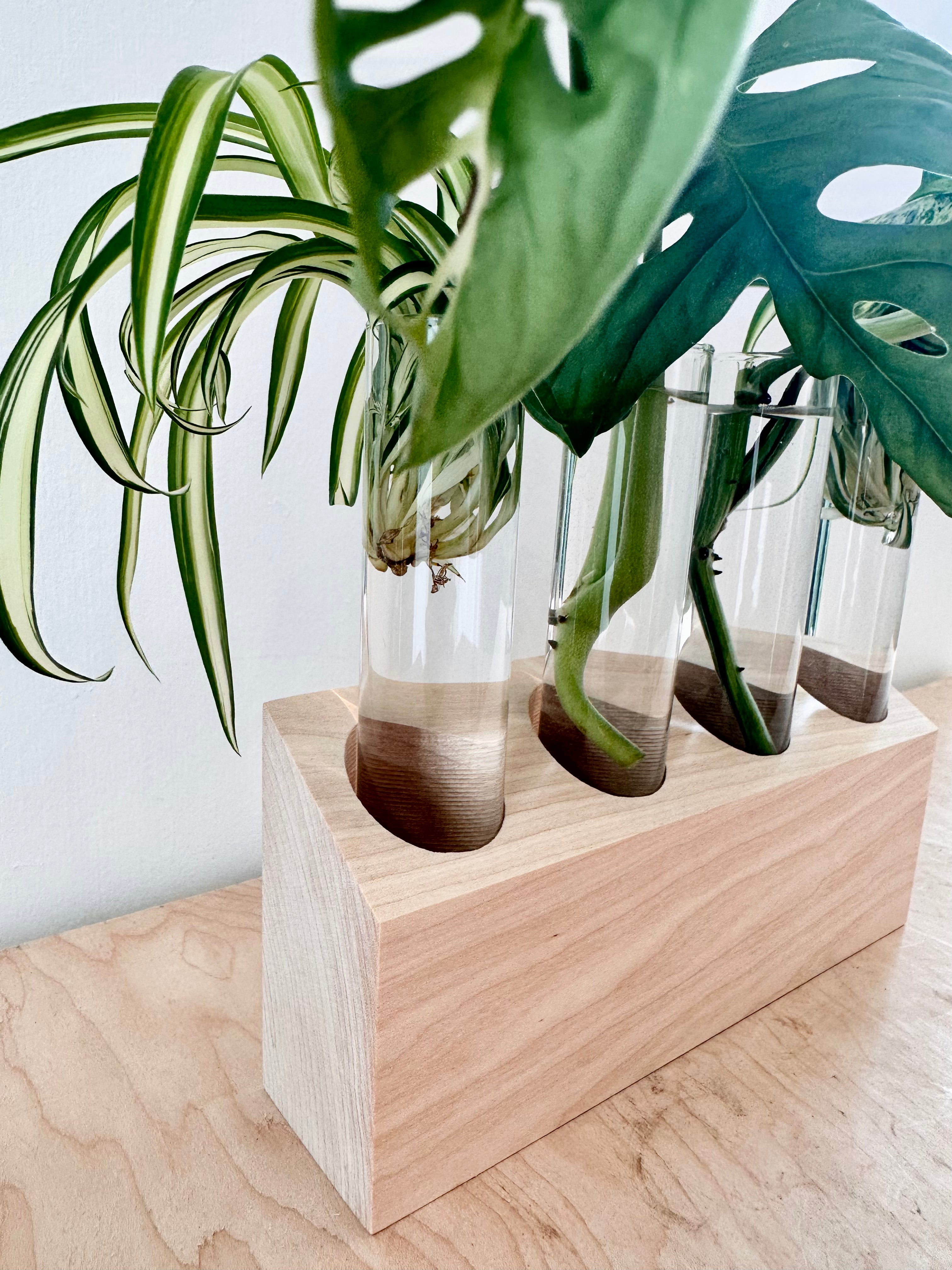 4 Tube Propagation Stand