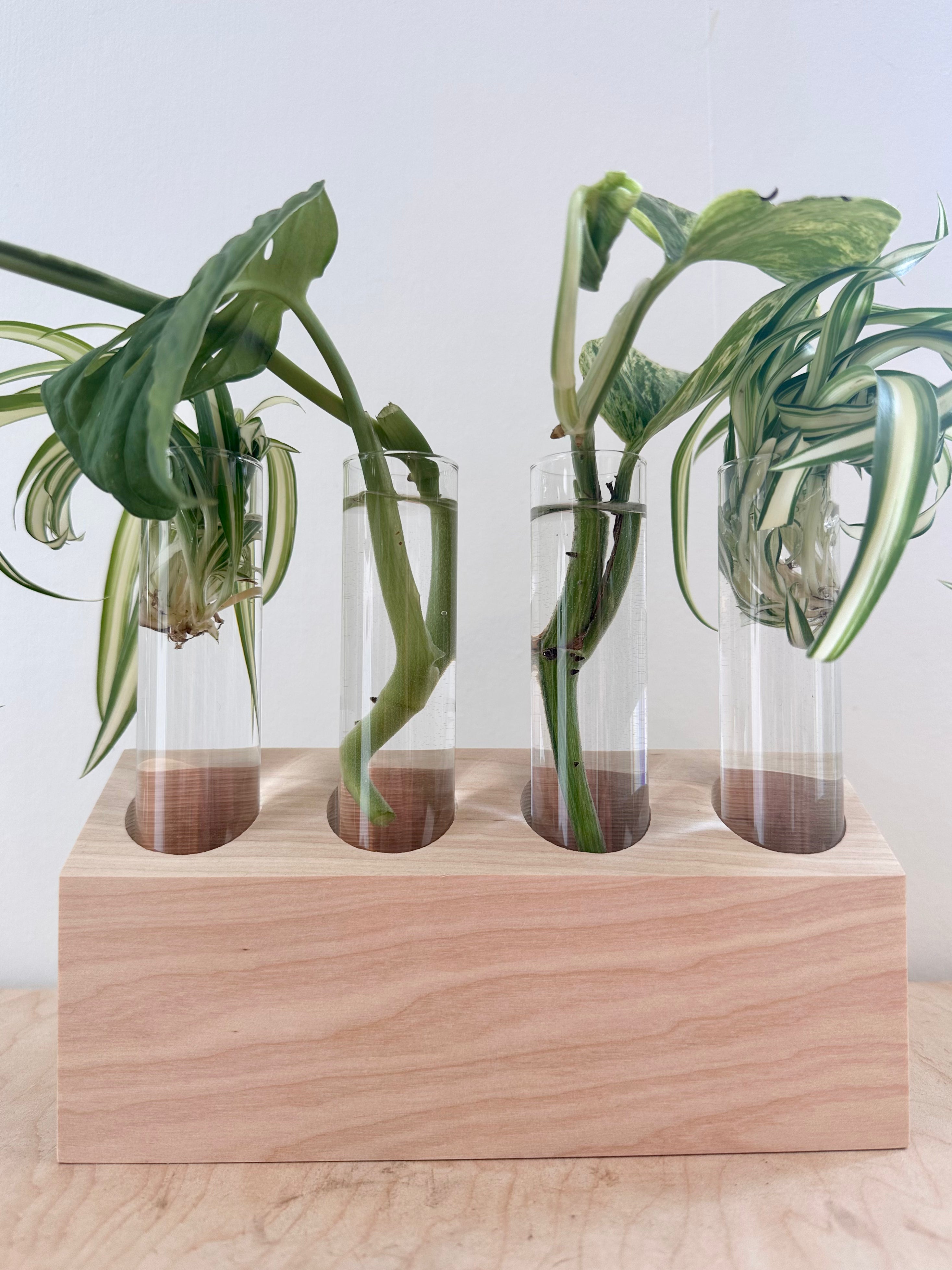 4 Tube Propagation Stand