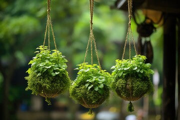 Foliage Kids Workshops