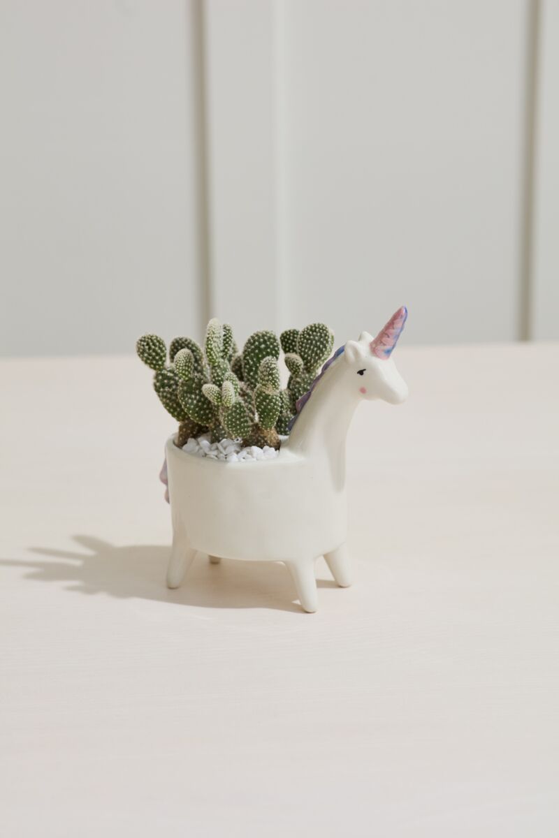 Jardinera Unicornio