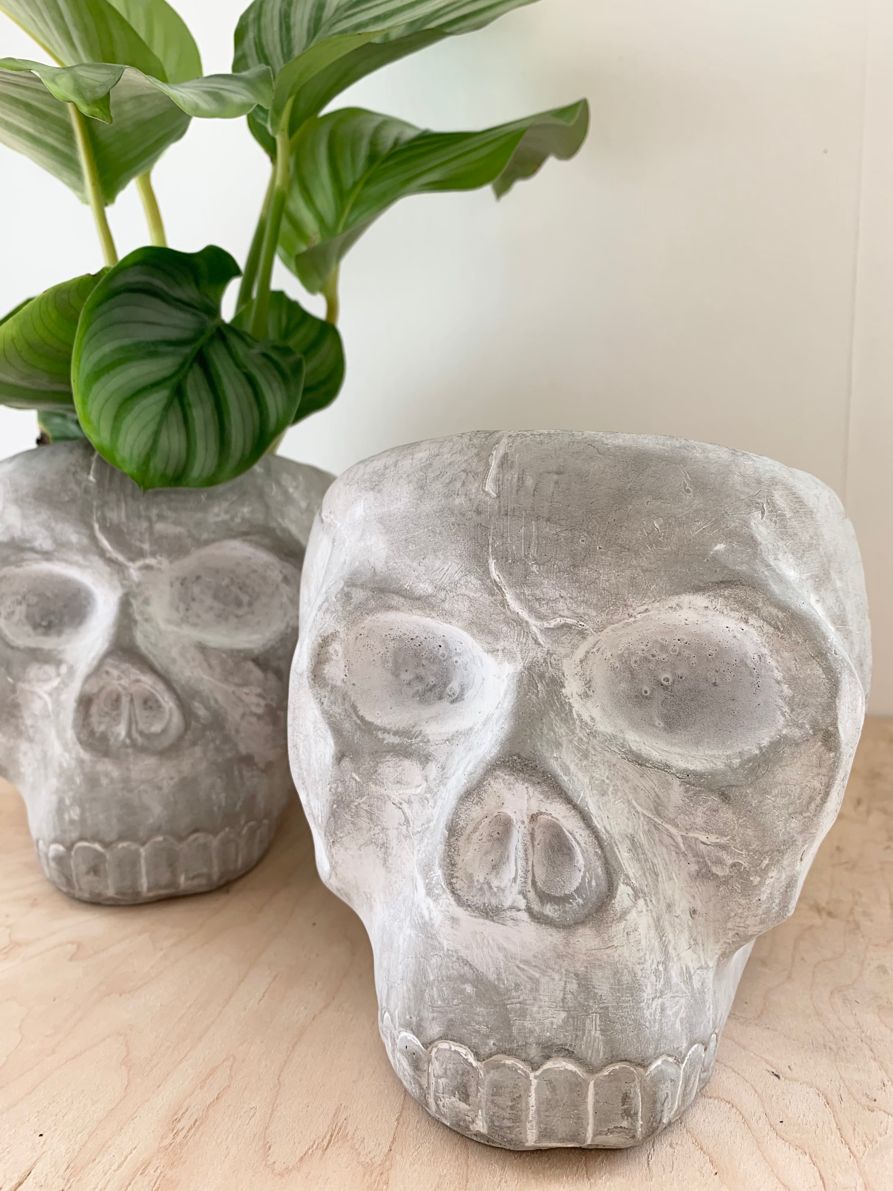 Reaper Skull Collection