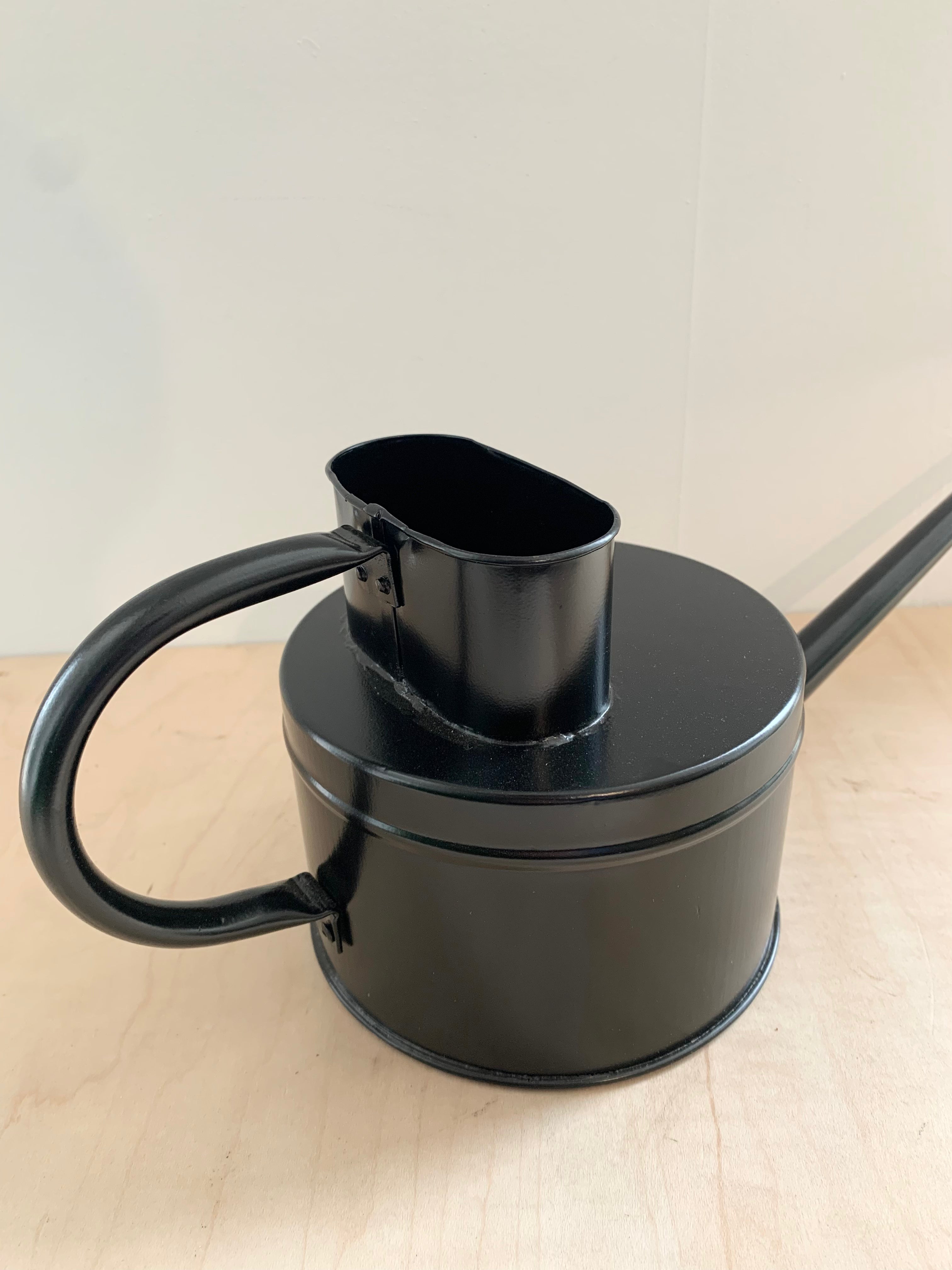 Fletch Watering Can