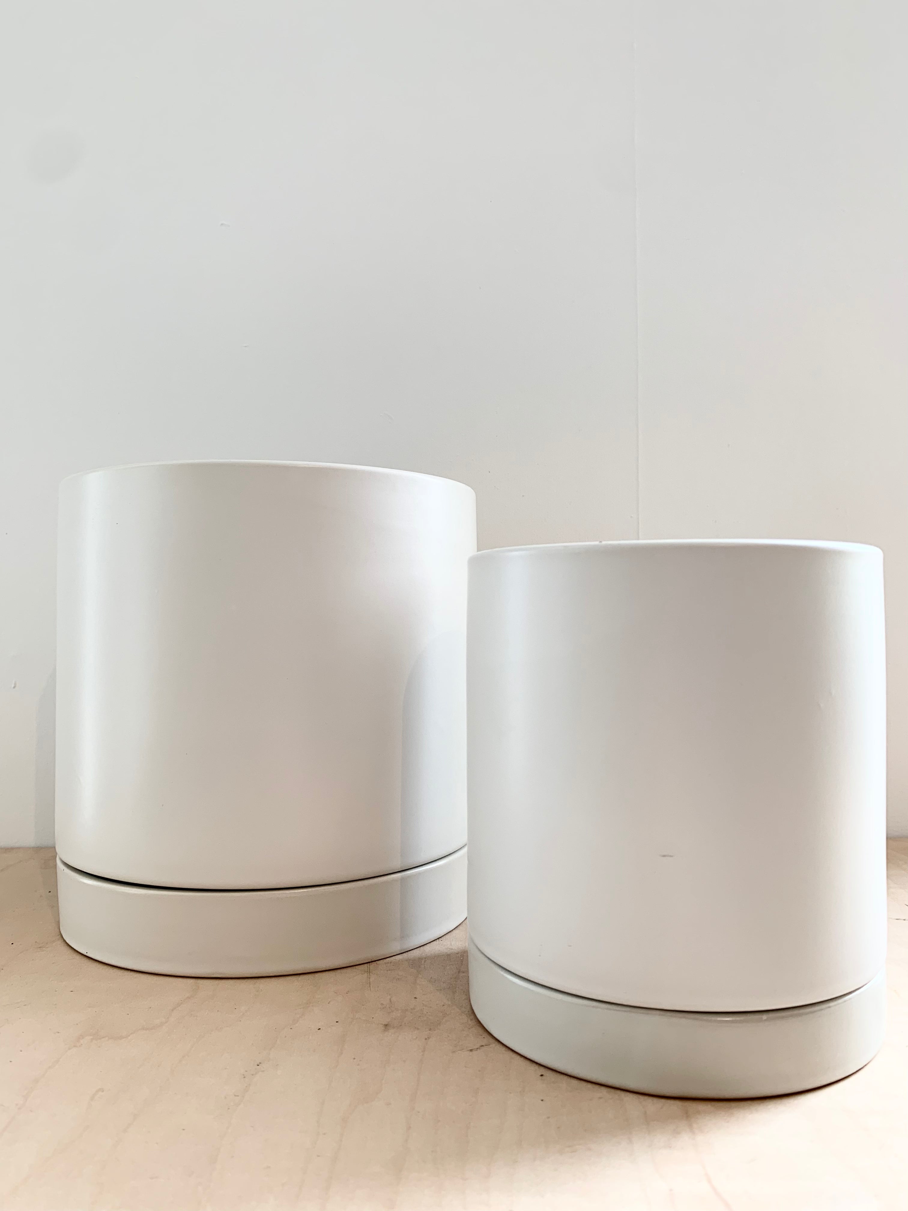 Romey Collection - White